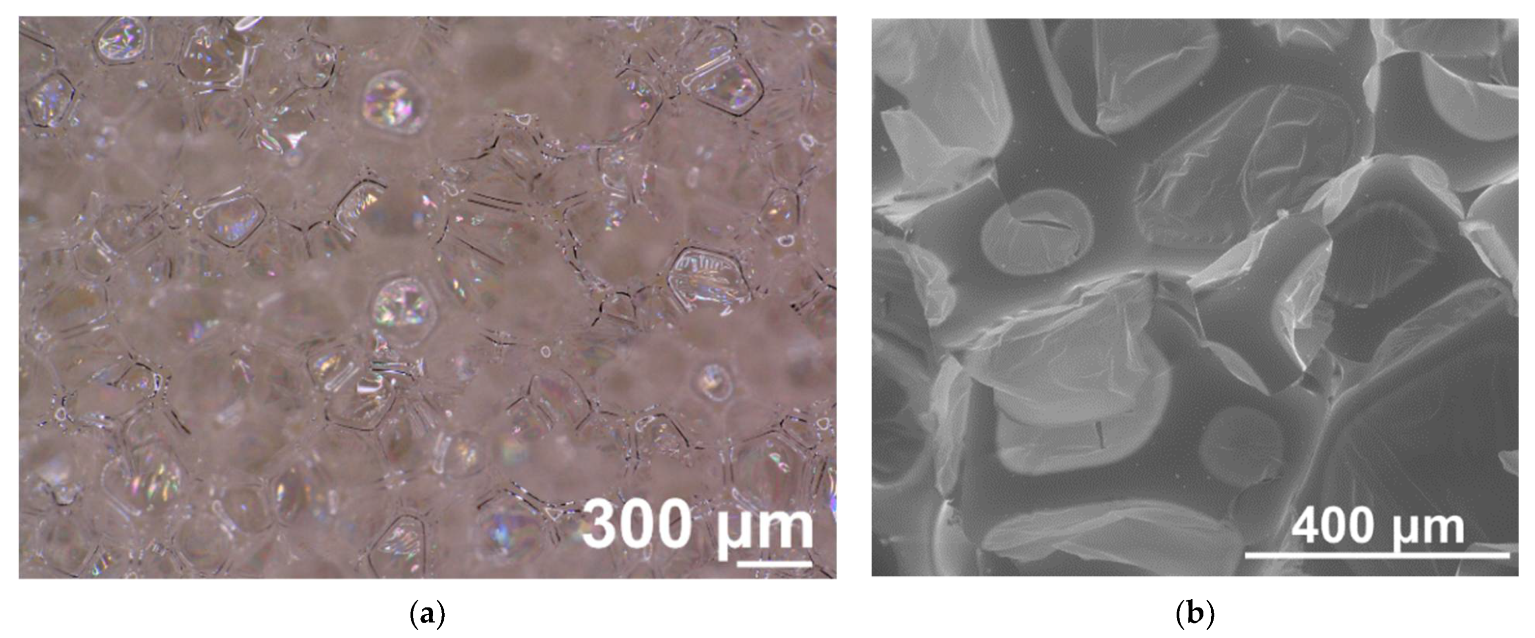 Materials 14 06604 g003