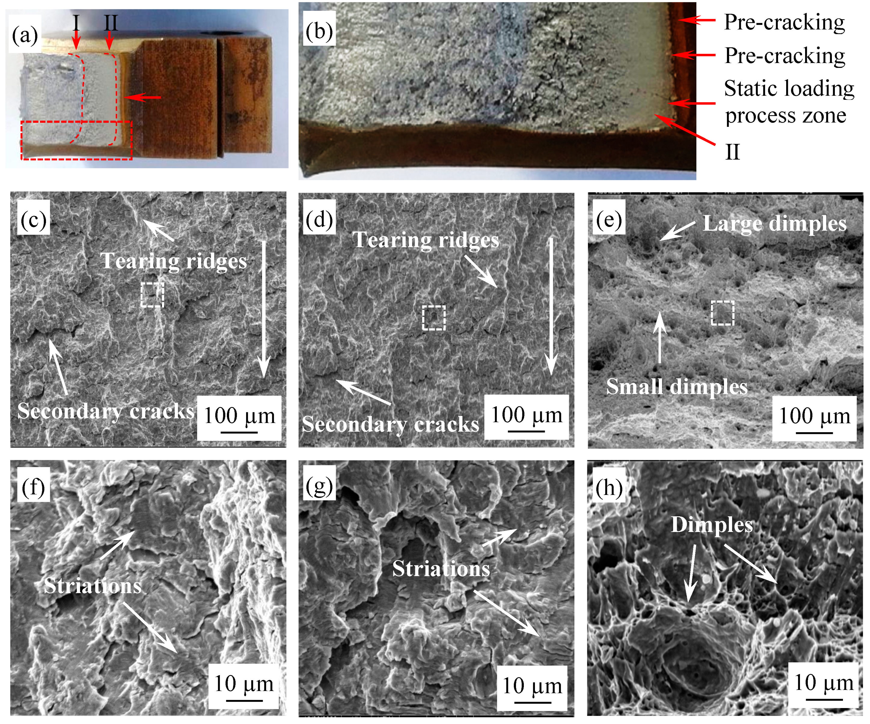 Materials 14 06621 g012