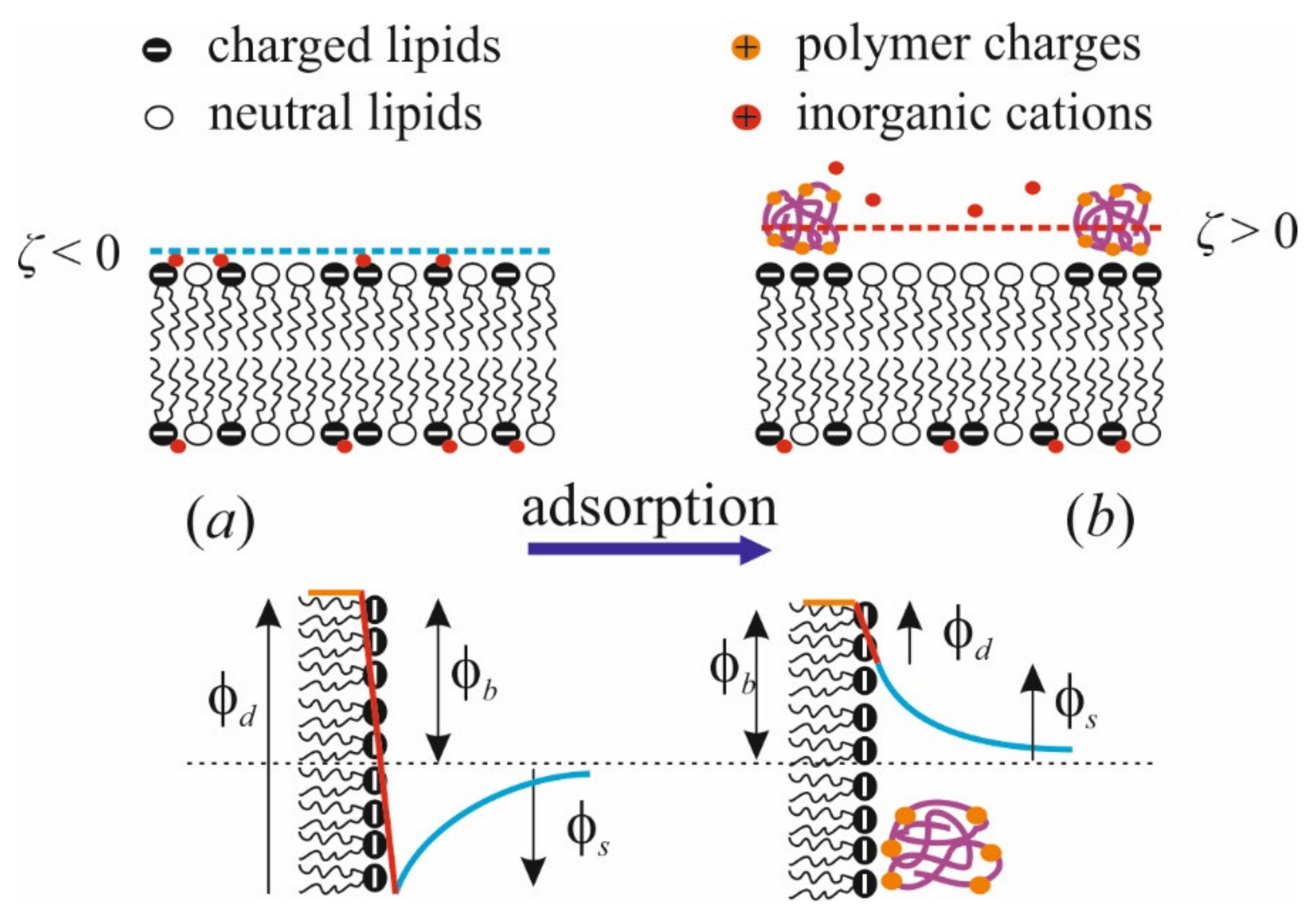 Materials 14 06623 g003