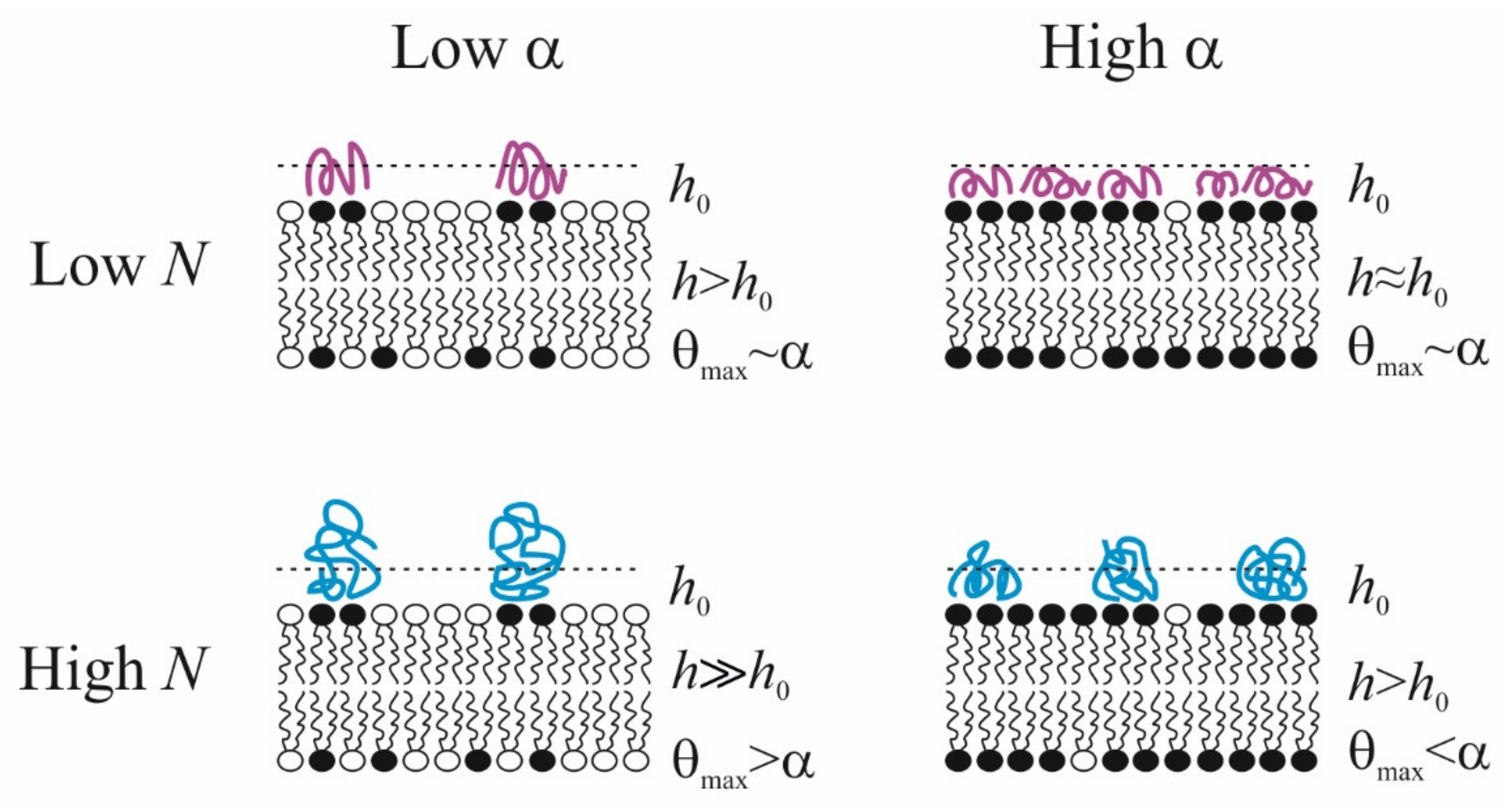 Materials 14 06623 g007