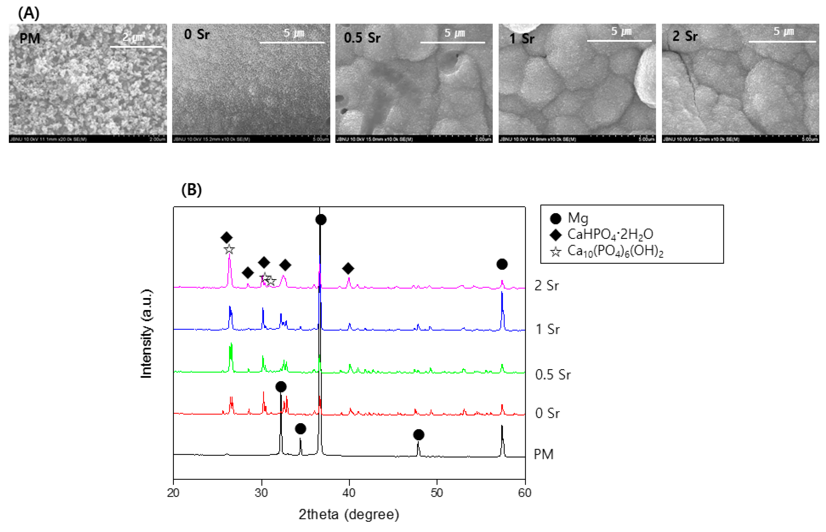 Materials 14 06625 g004