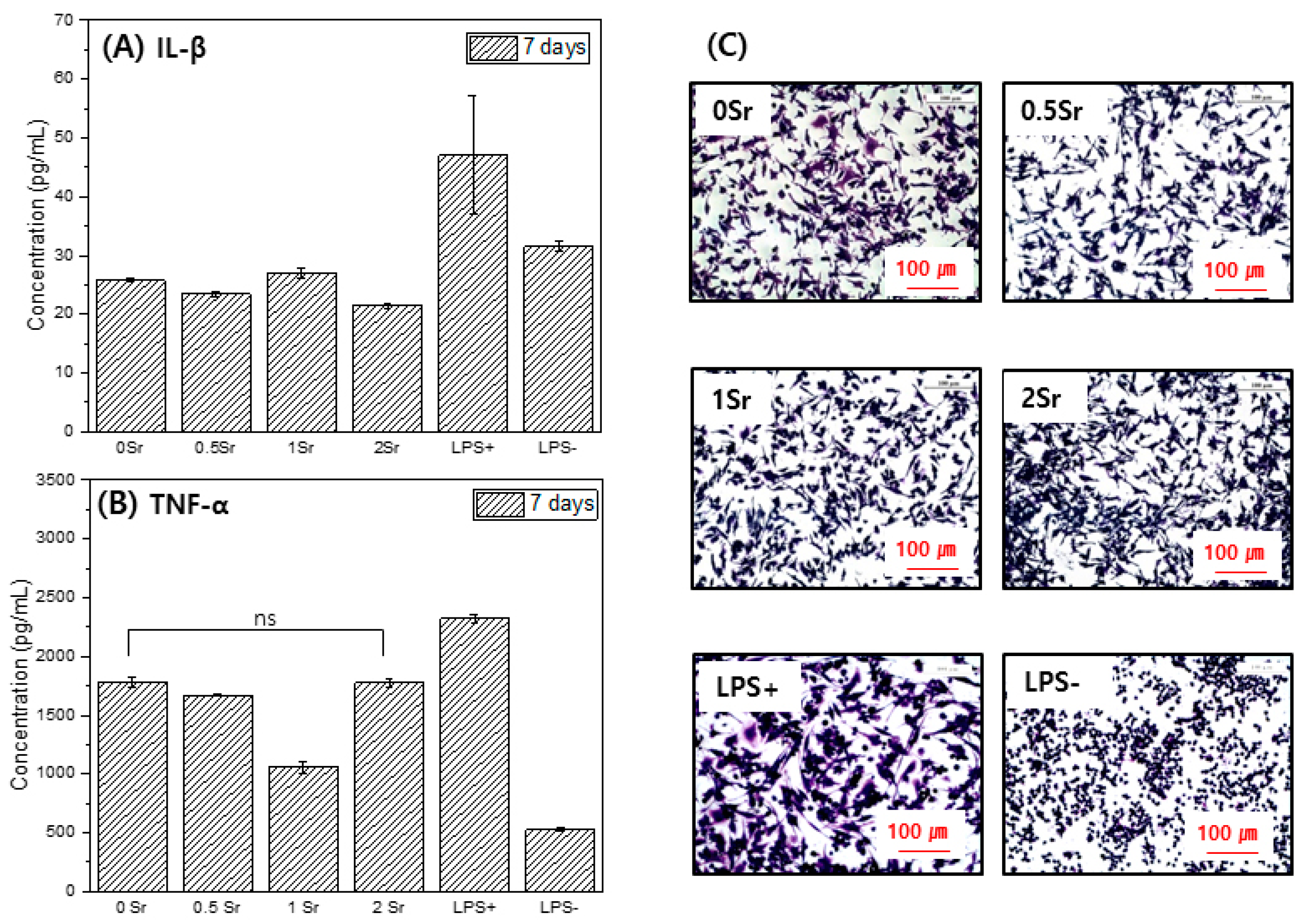 Materials 14 06625 g006
