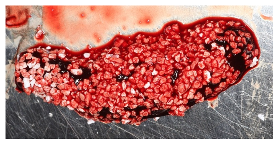 Materials 14 06642 g007 Materials 14 06642 g007