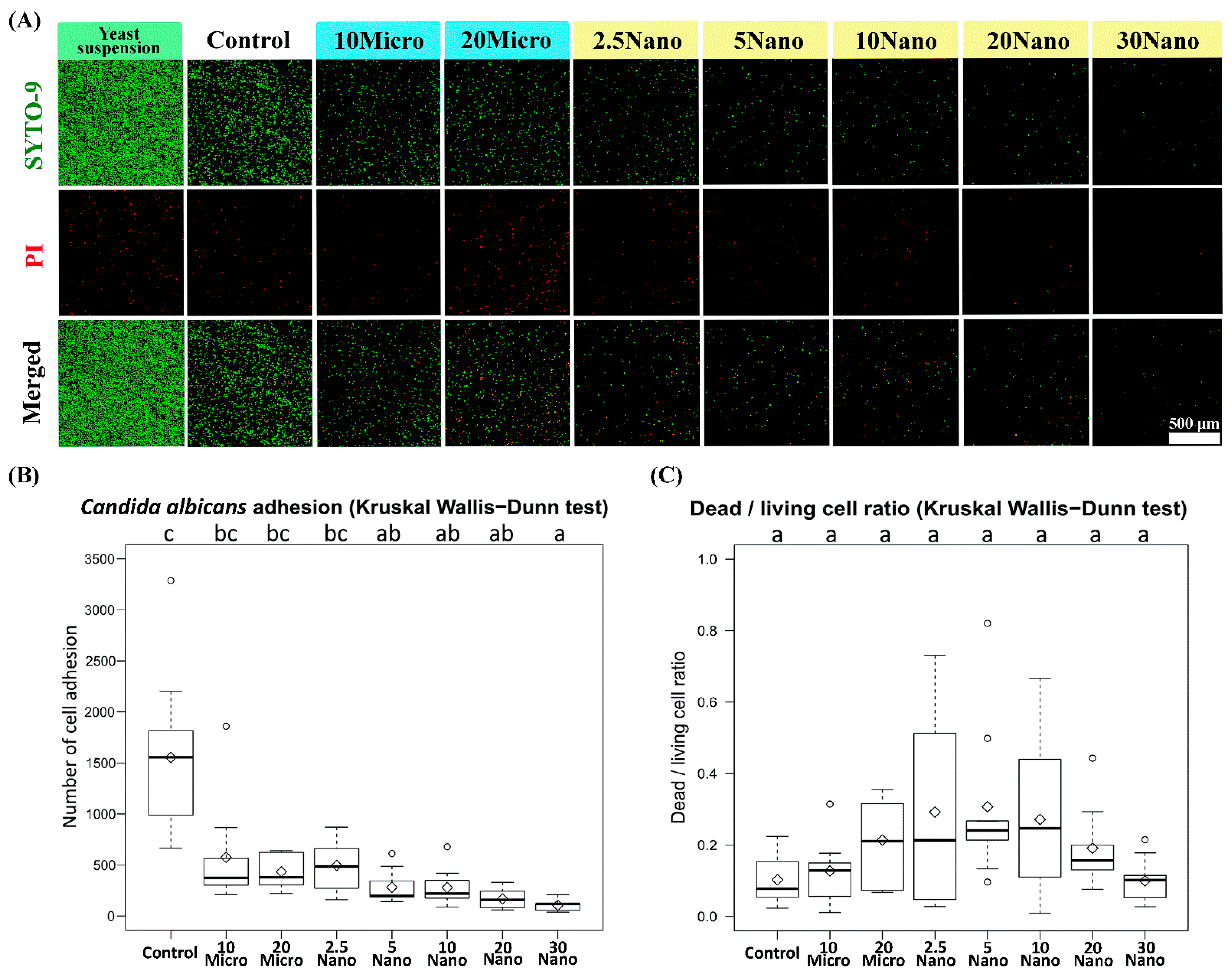Materials 14 06648 g006 Materials 14 06648 g006