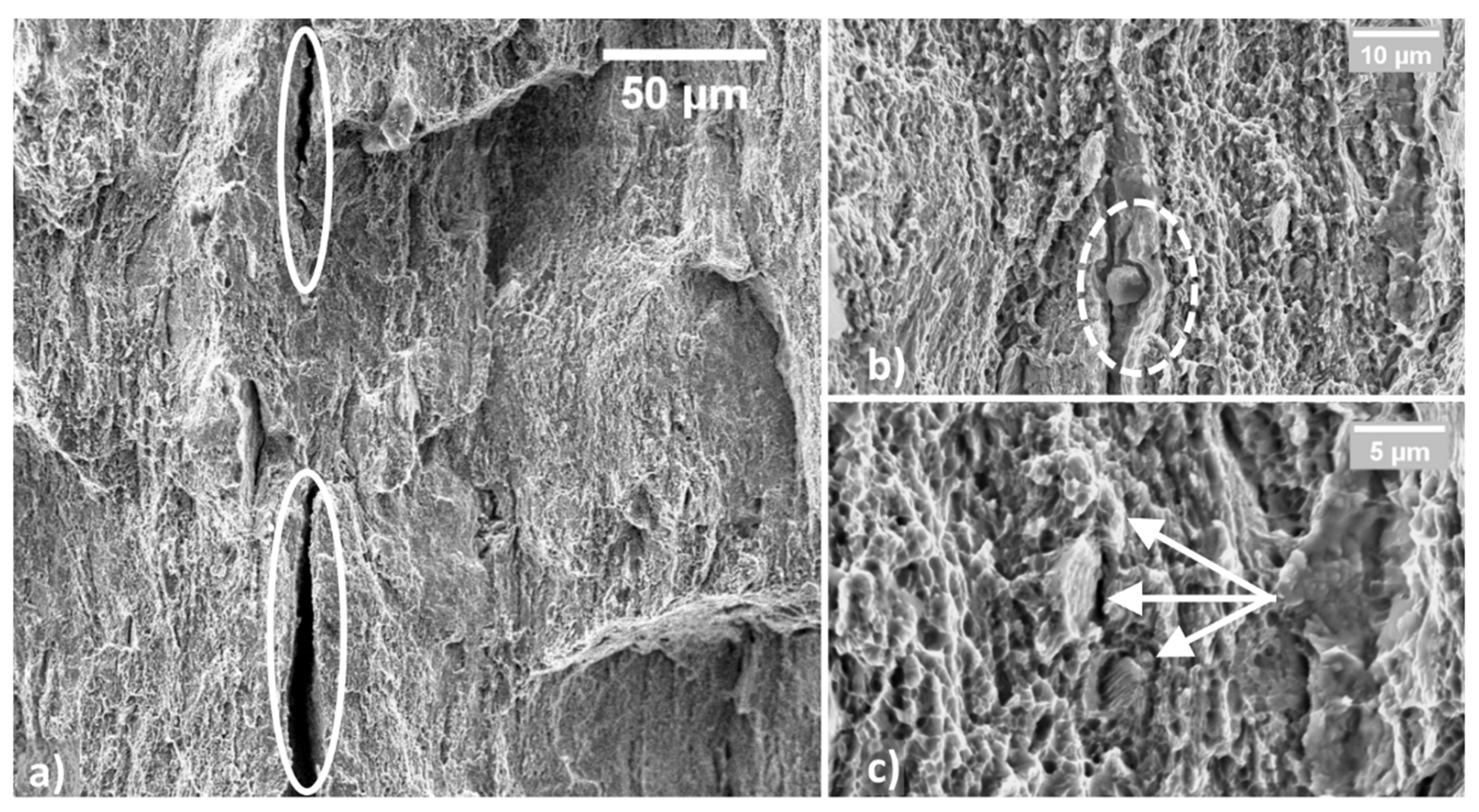 Materials 14 06662 g007 Materials 14 06662 g007