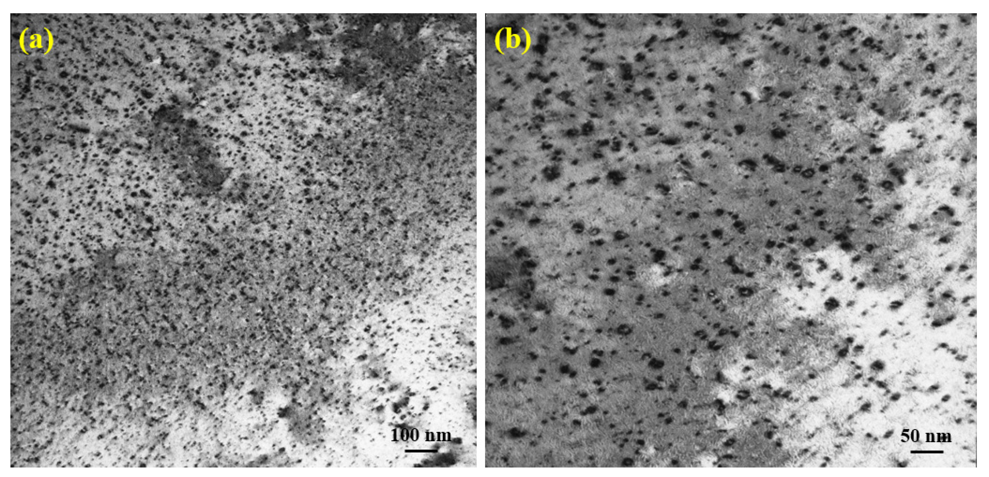 Materials 14 06669 g004