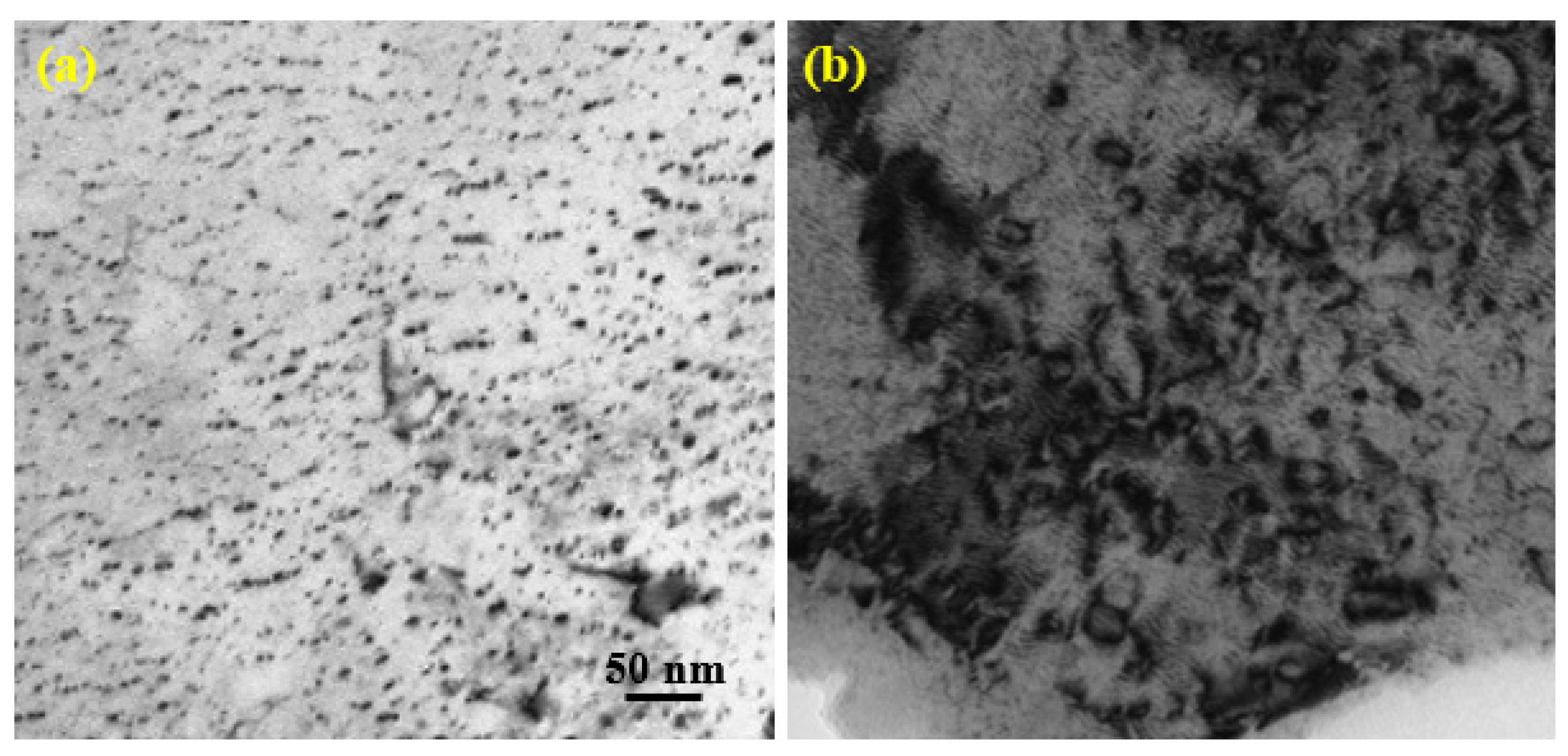 Materials 14 06669 g005