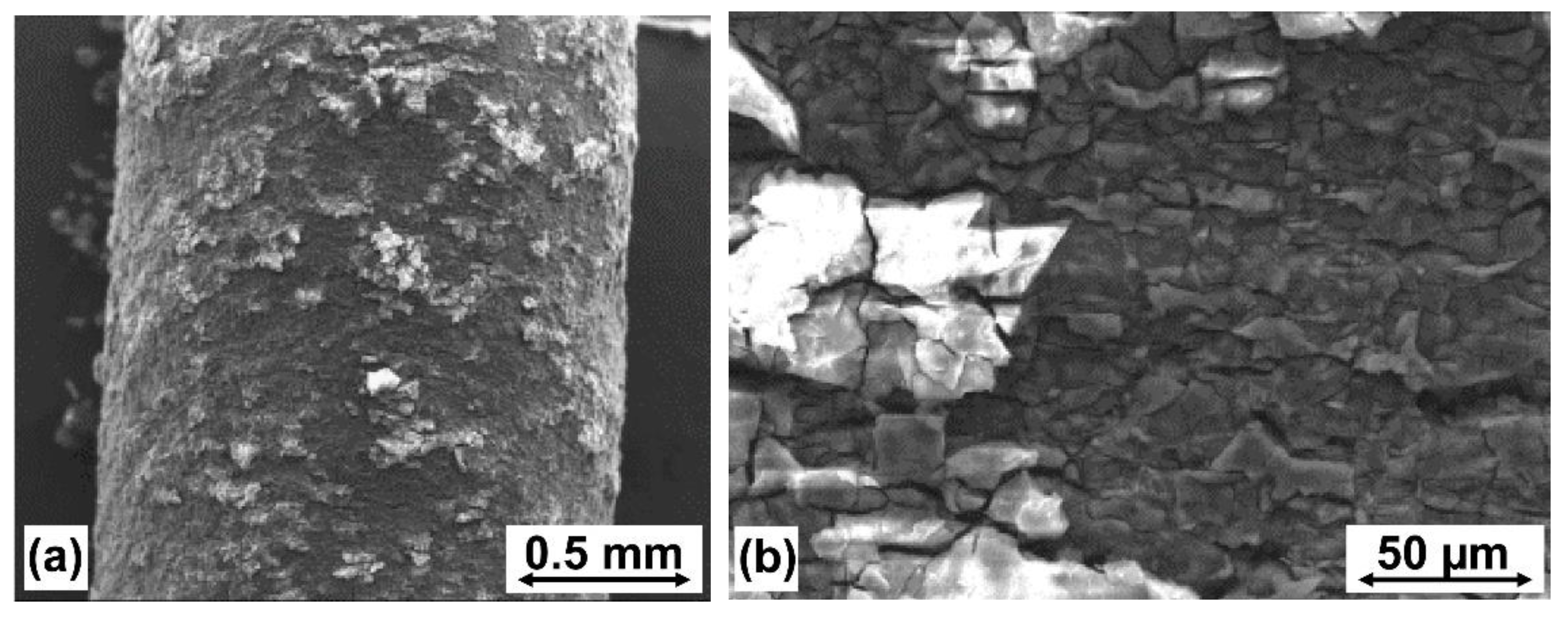 Materials 14 06673 g007