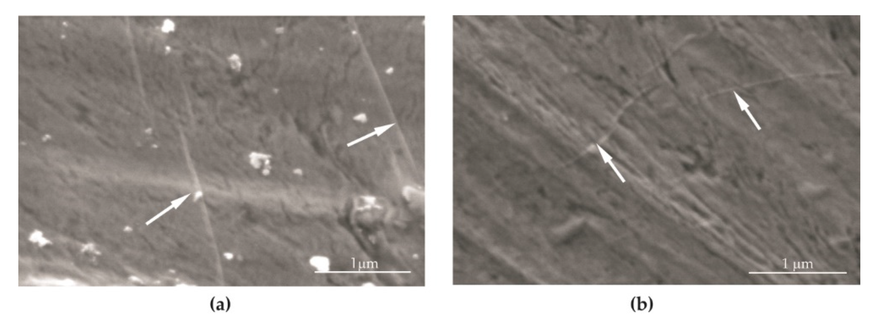 Materials 14 06674 g006