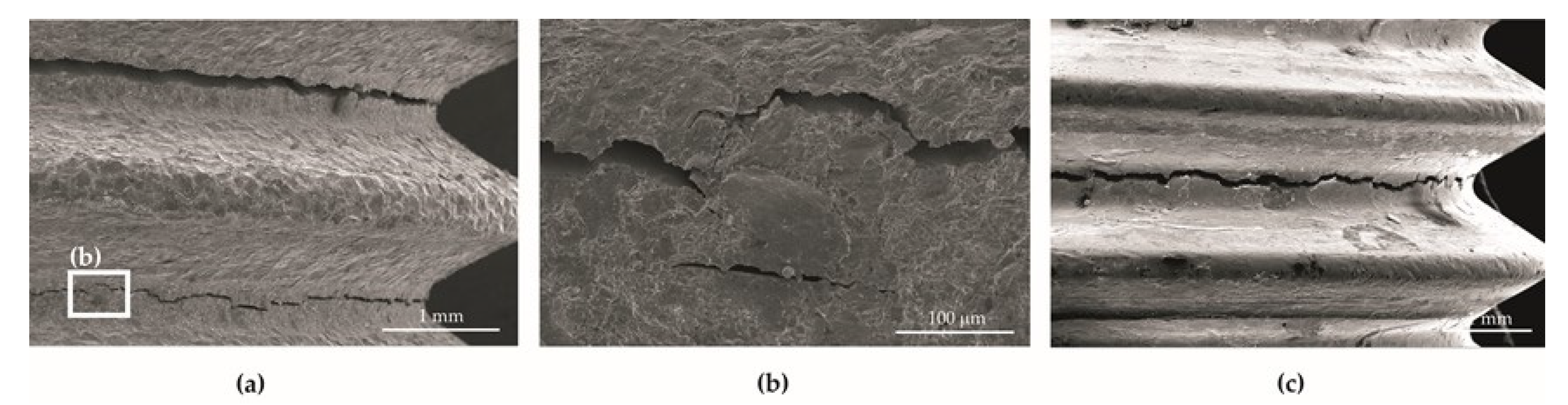 Materials 14 06674 g010