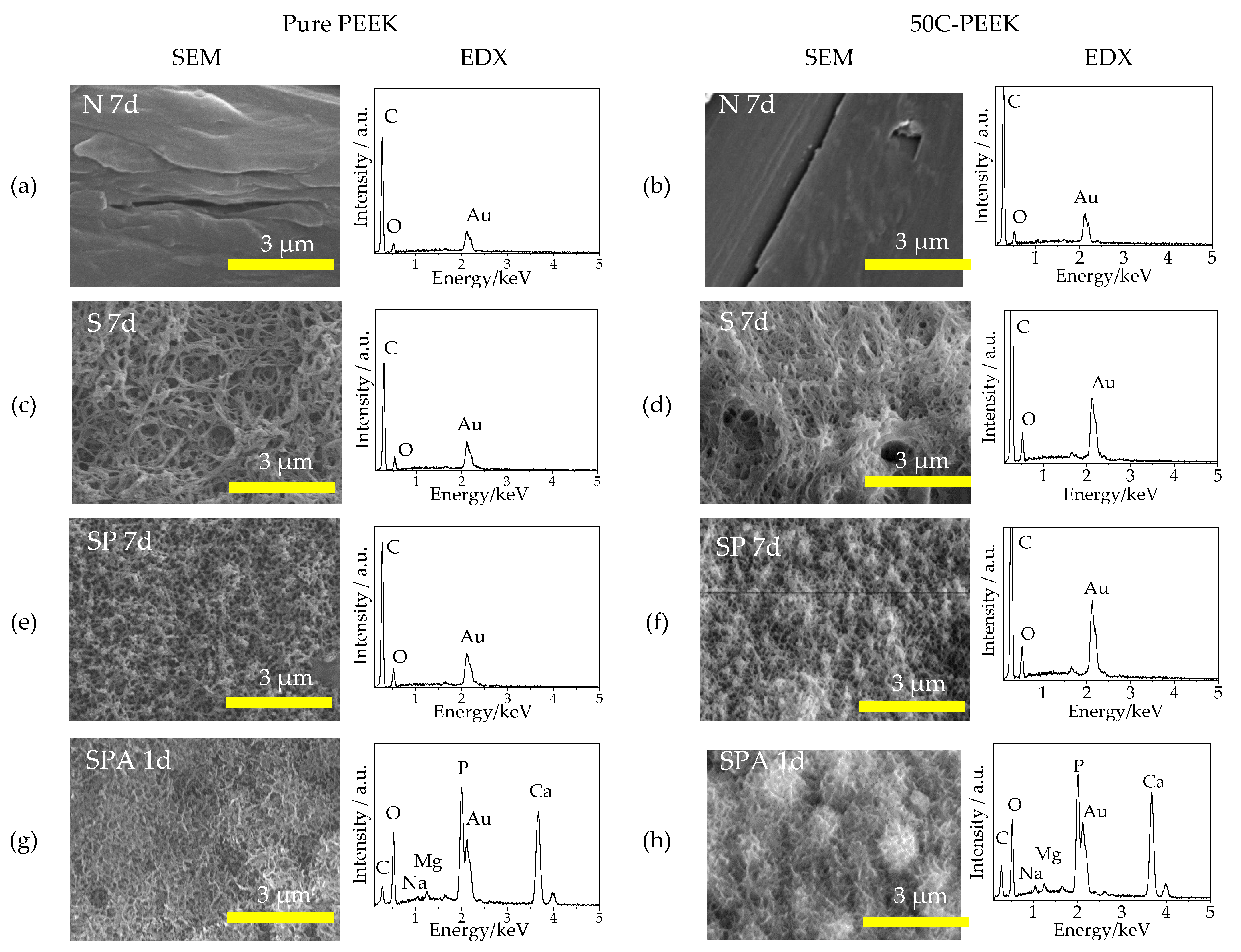 Materials 14 06691 g004