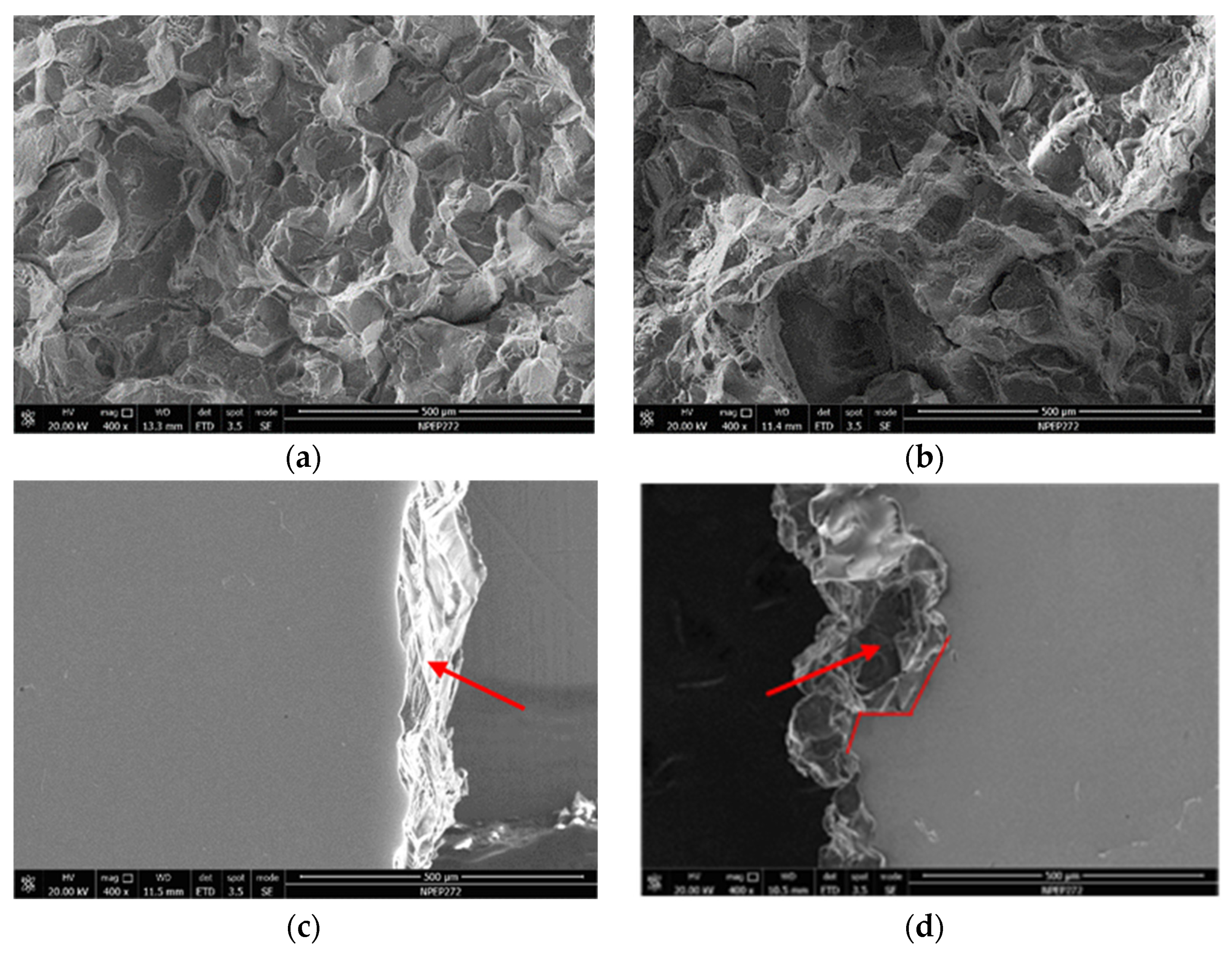 Materials 14 06705 g007