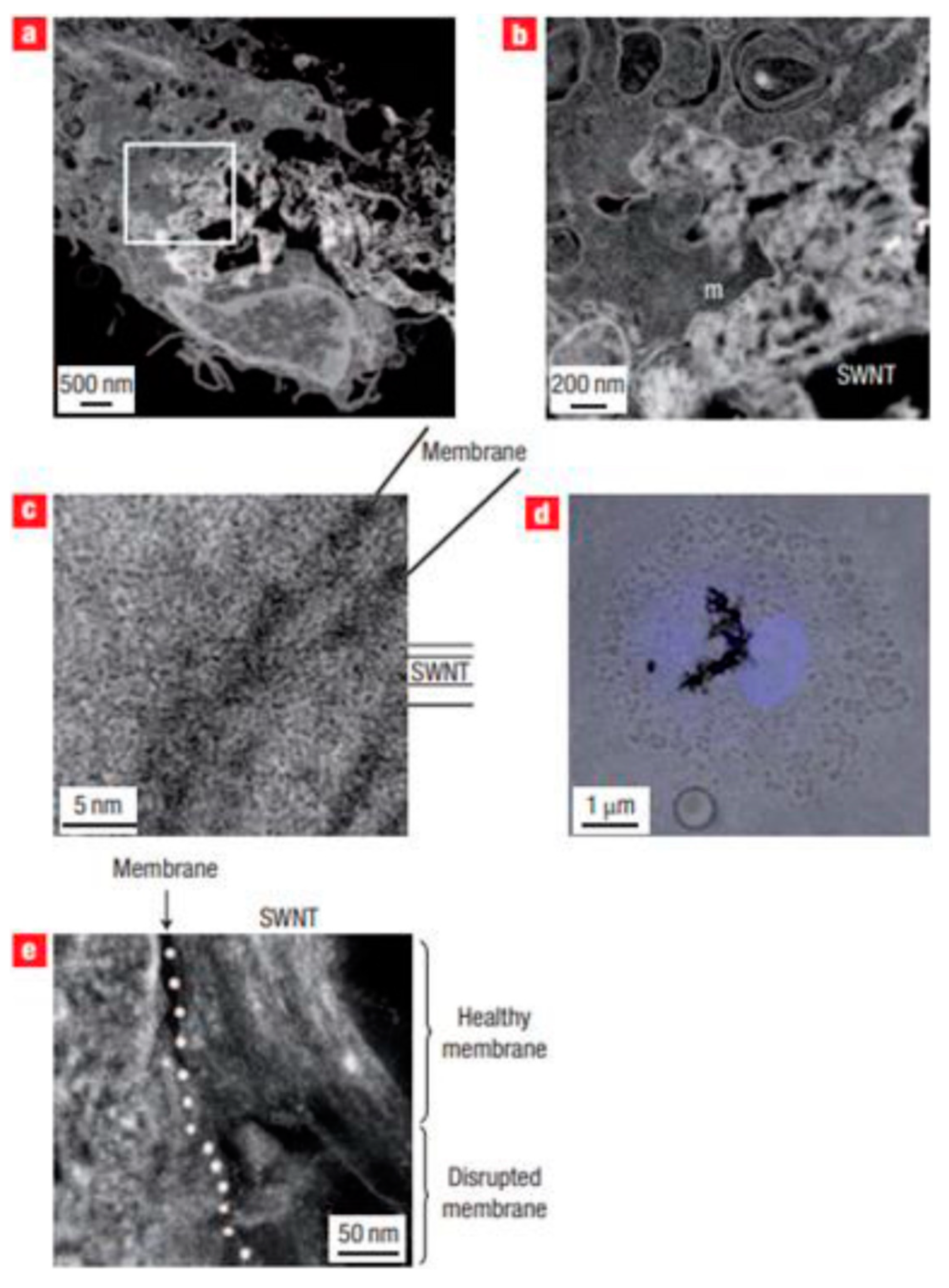 Materials 14 06707 g005