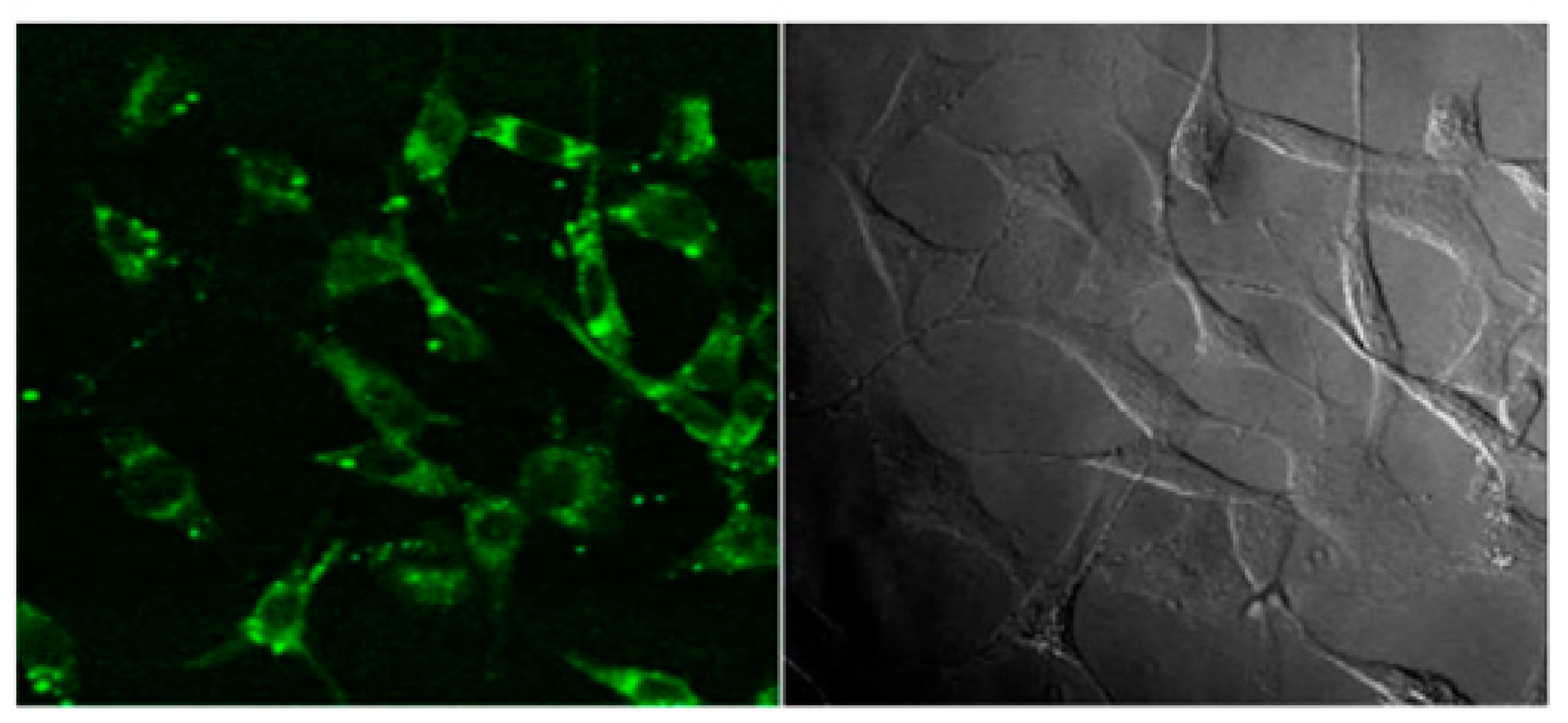 Materials 14 06707 g006