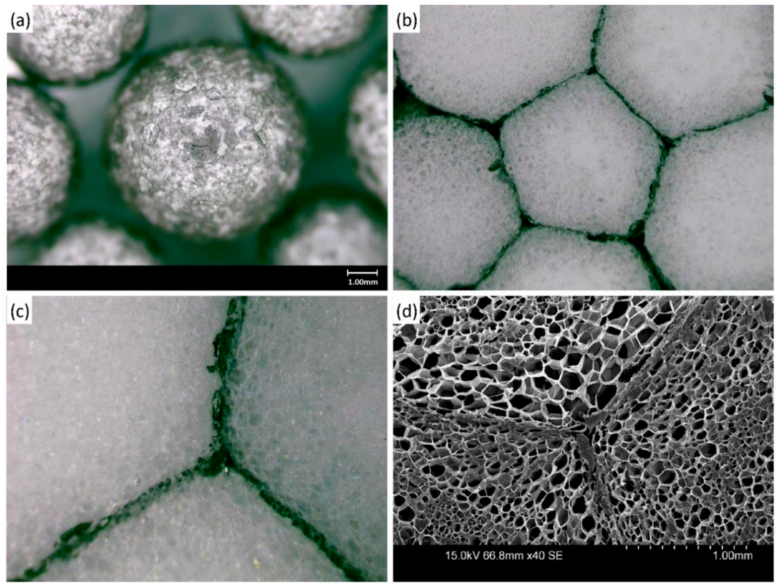 Materials 14 06729 g002