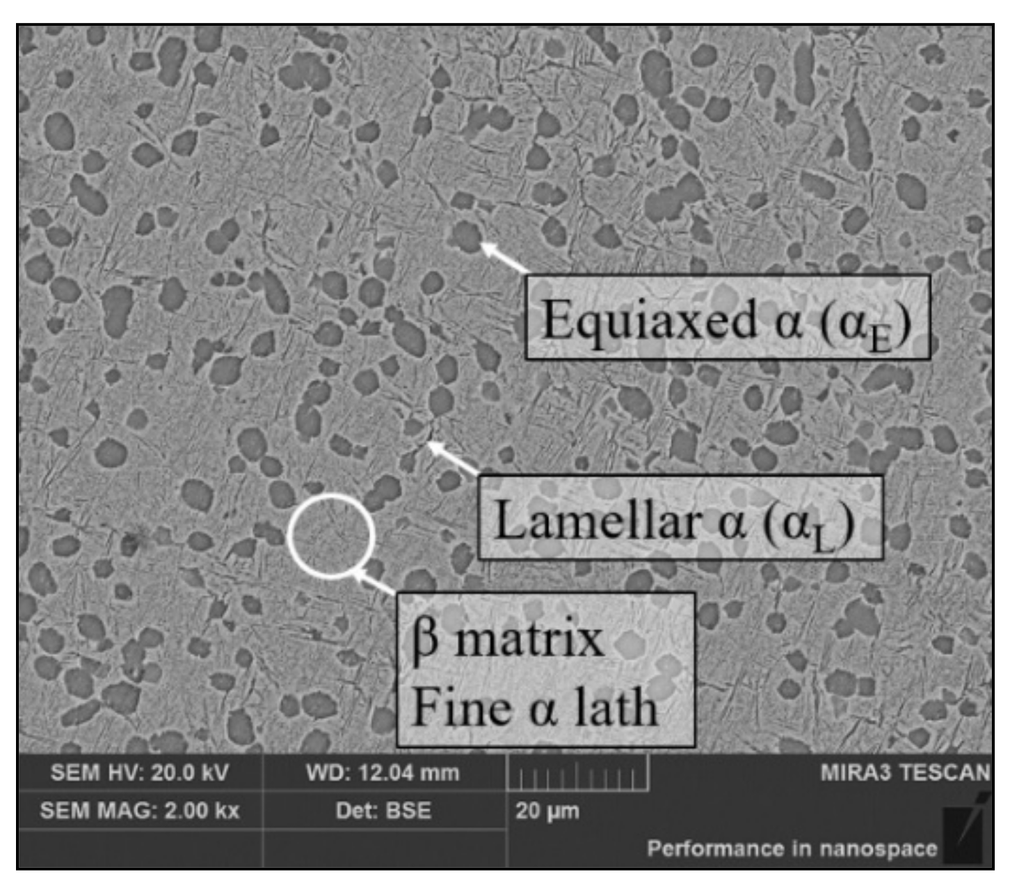 Materials 14 06750 g001
