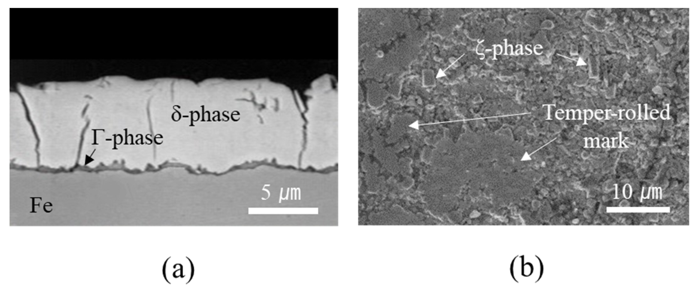 Materials 14 06756 g003