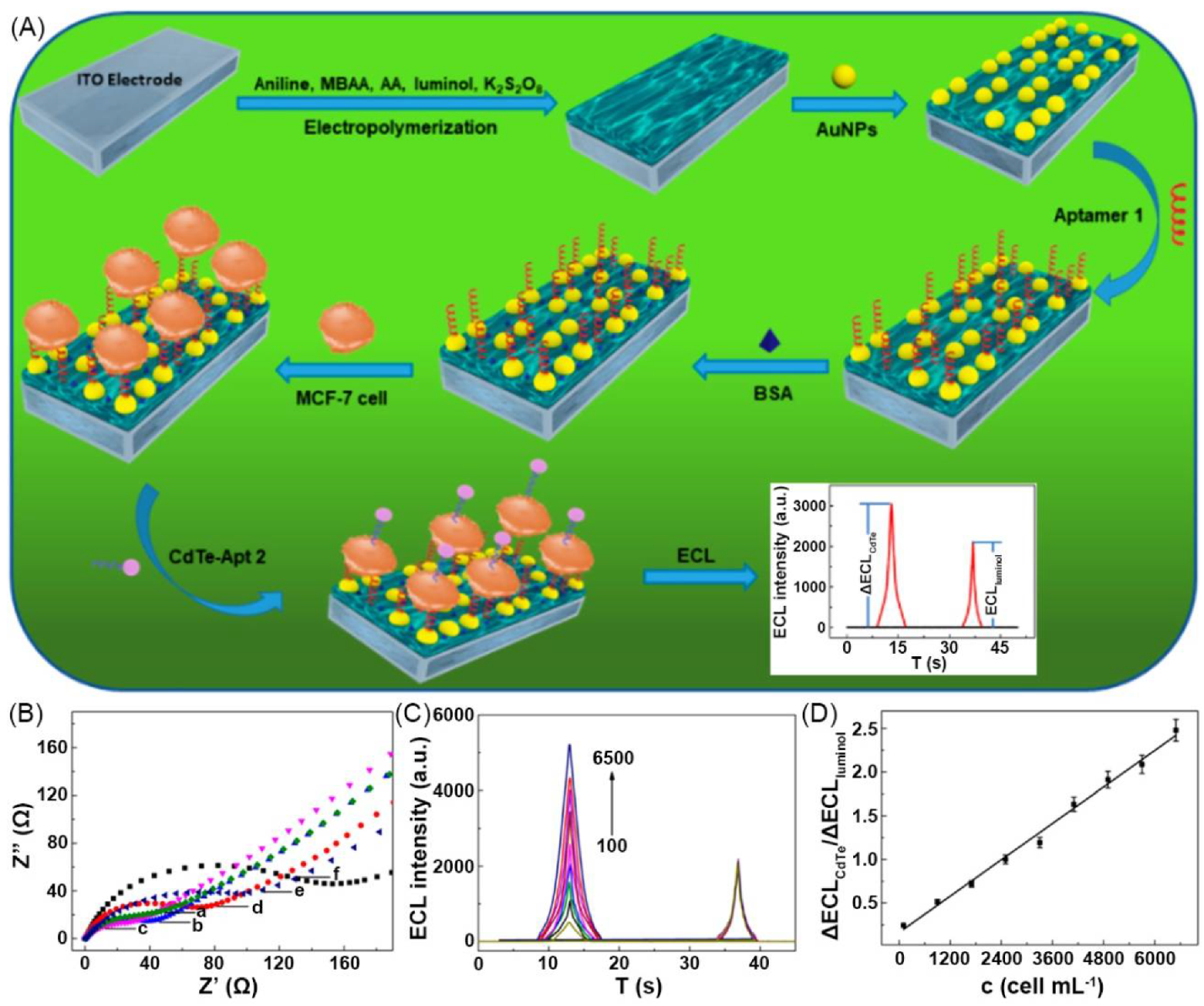 Materials 14 06759 g006