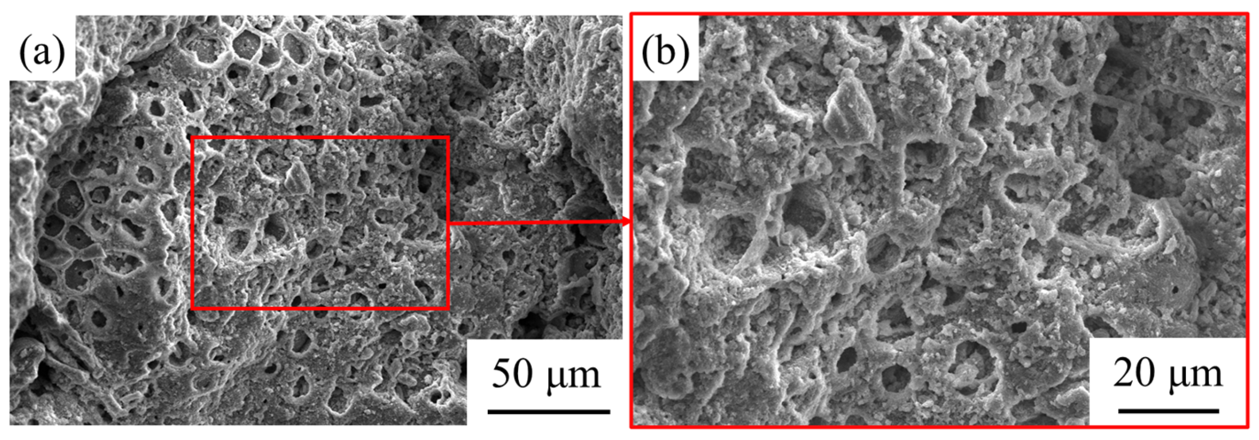 Materials 14 06784 g007