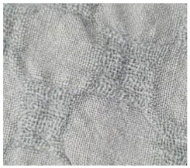 Materials 14 06787 i004