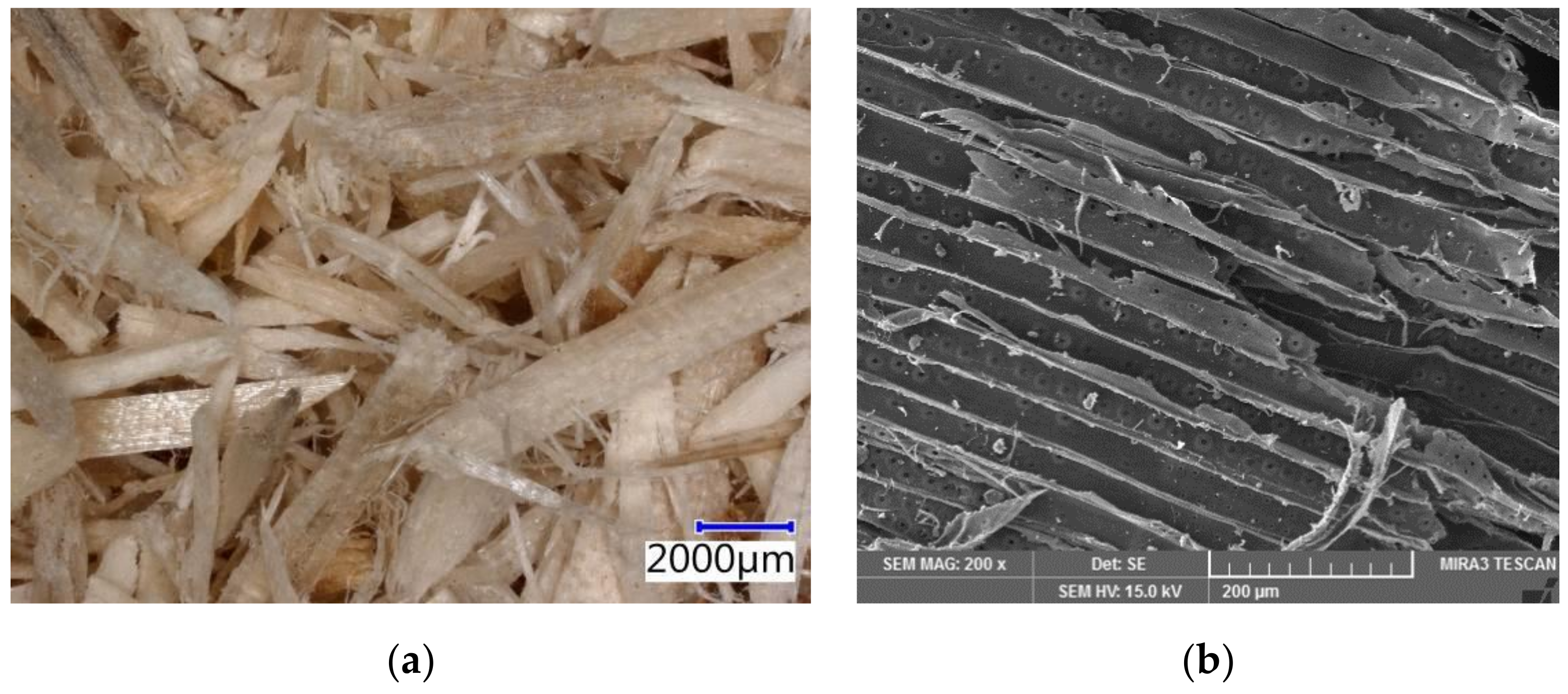 Materials 14 06788 g002