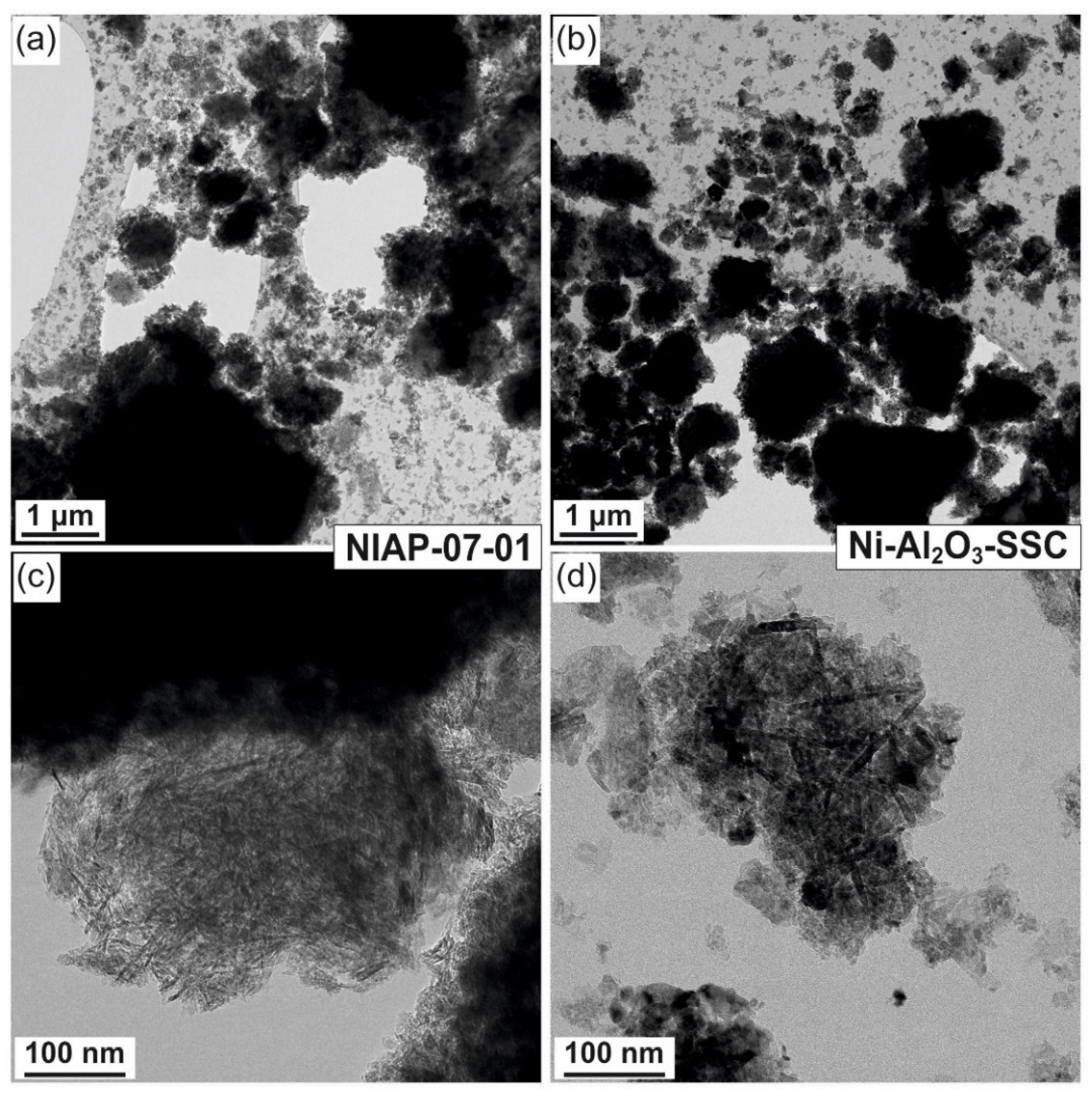 Materials 14 06789 g006