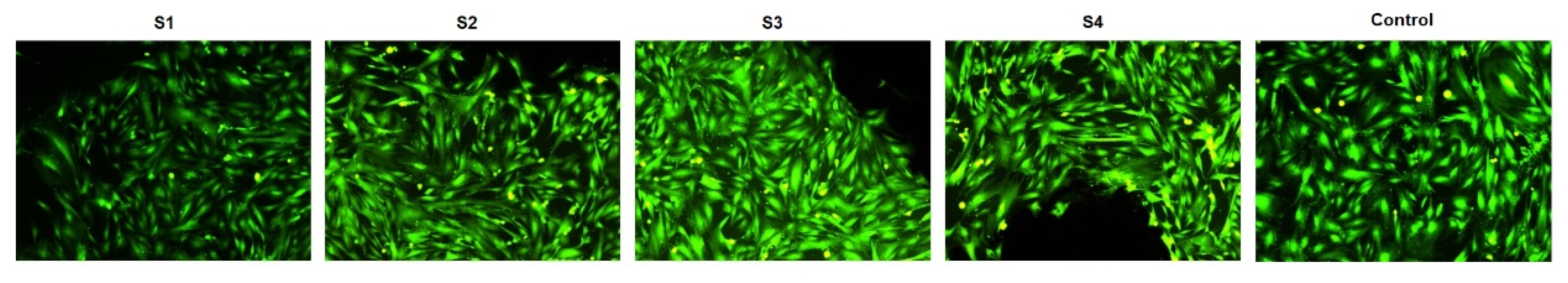 Materials 14 06806 g005