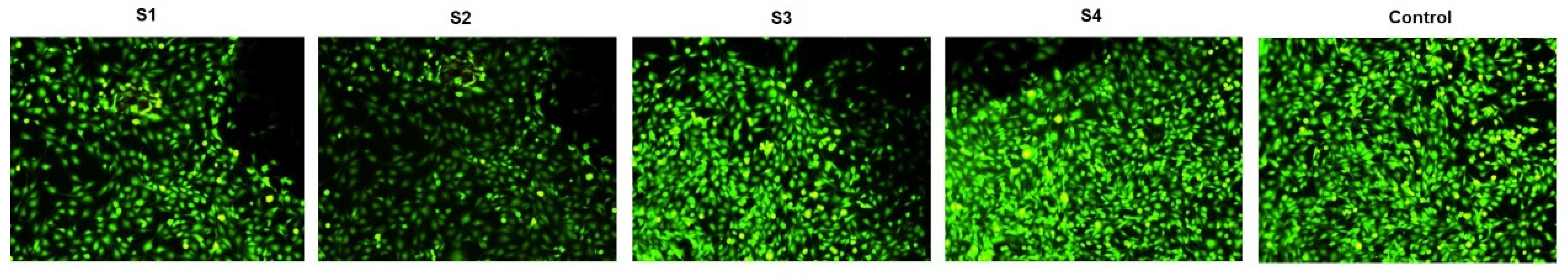 Materials 14 06806 g006