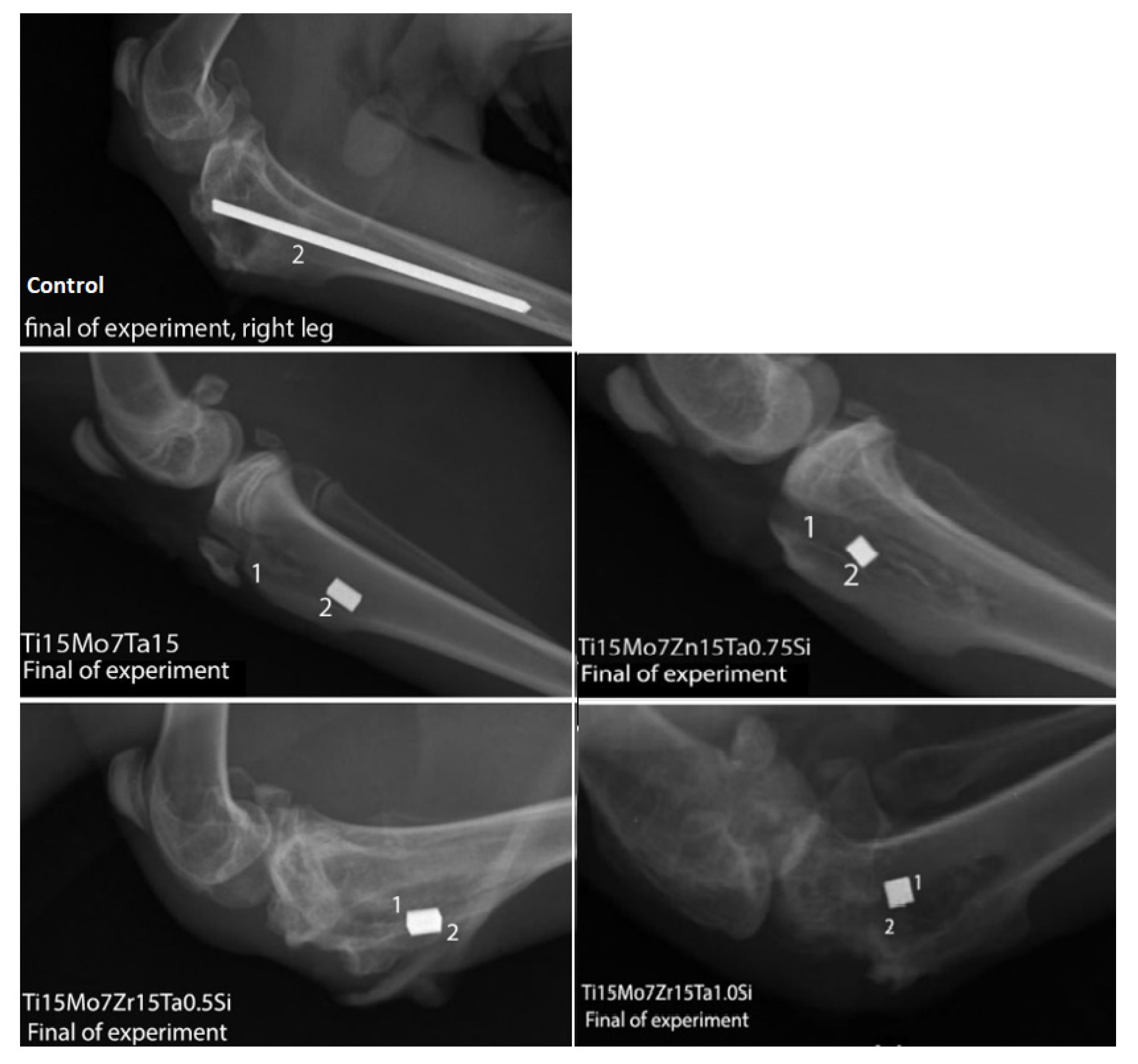 Materials 14 06806 g007