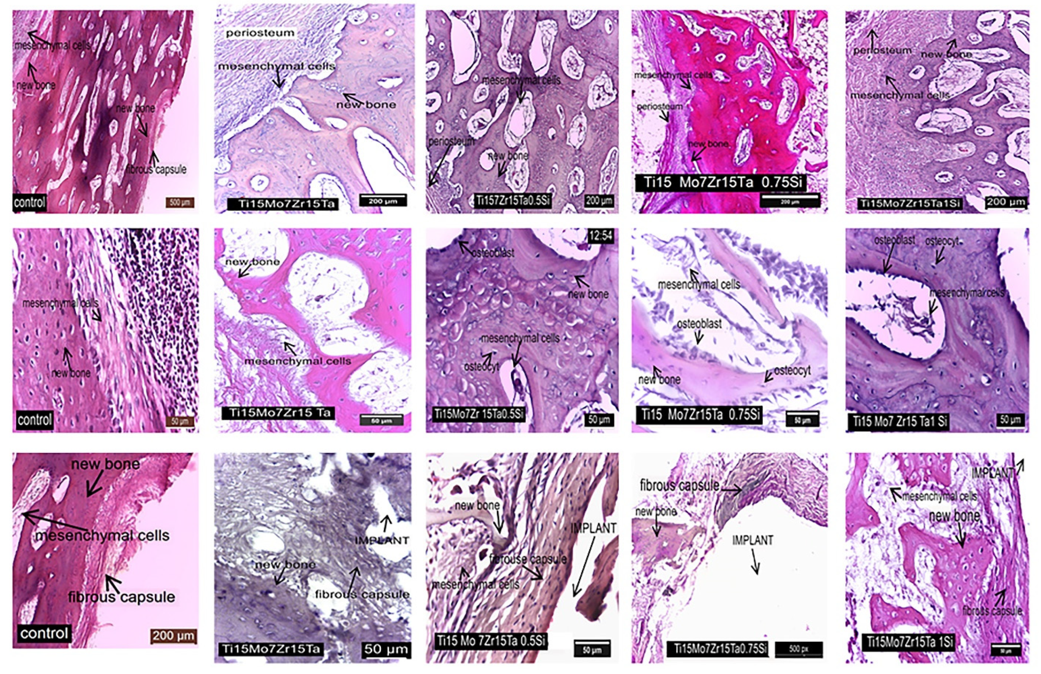 Materials 14 06806 g009