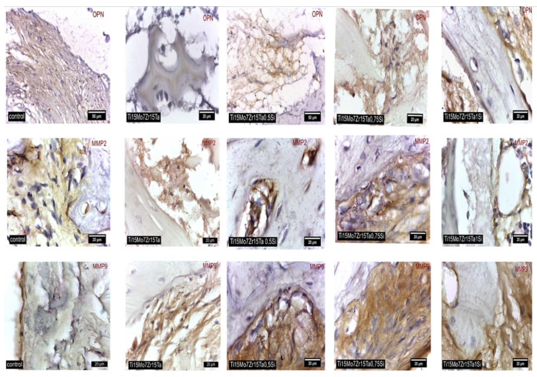 Materials 14 06806 g010