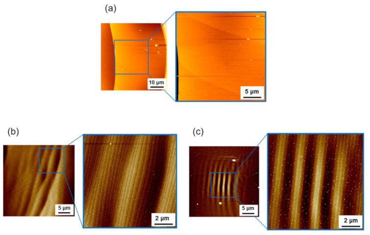 Materials 14 06816 g004