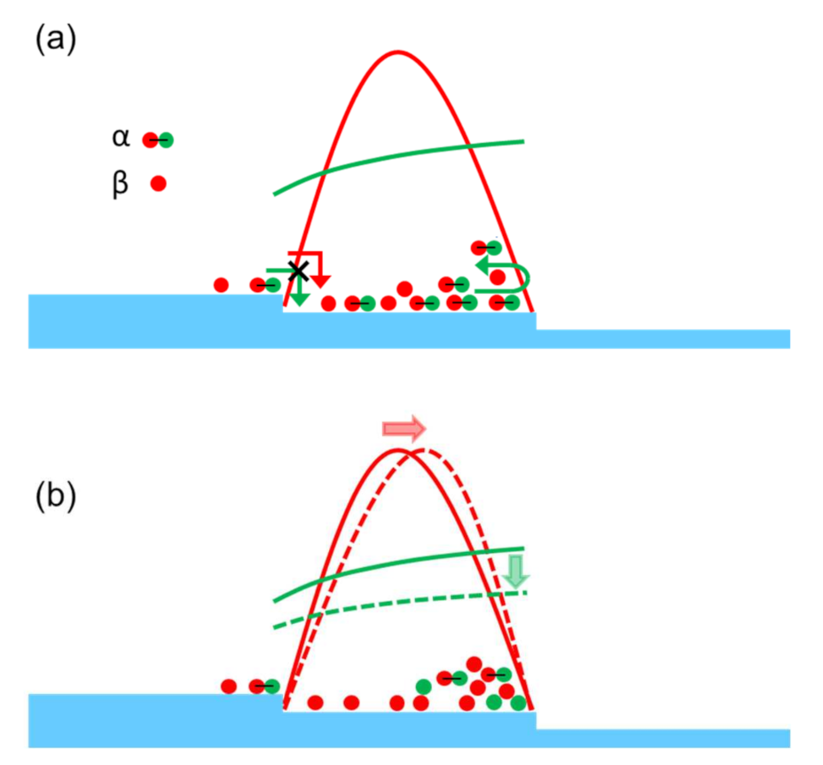 Materials 14 06816 g005