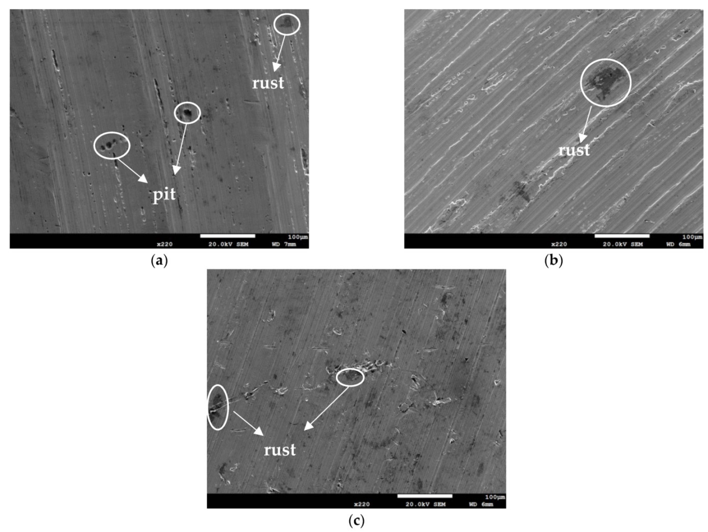 Materials 14 06834 g006