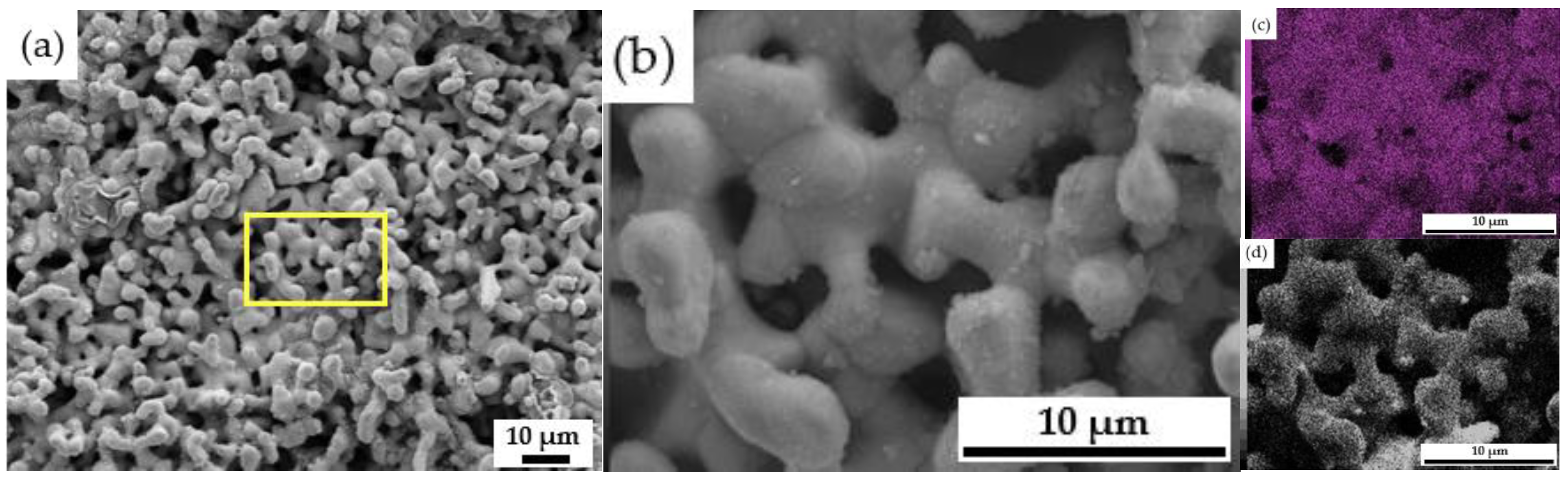 Materials 14 06875 g017