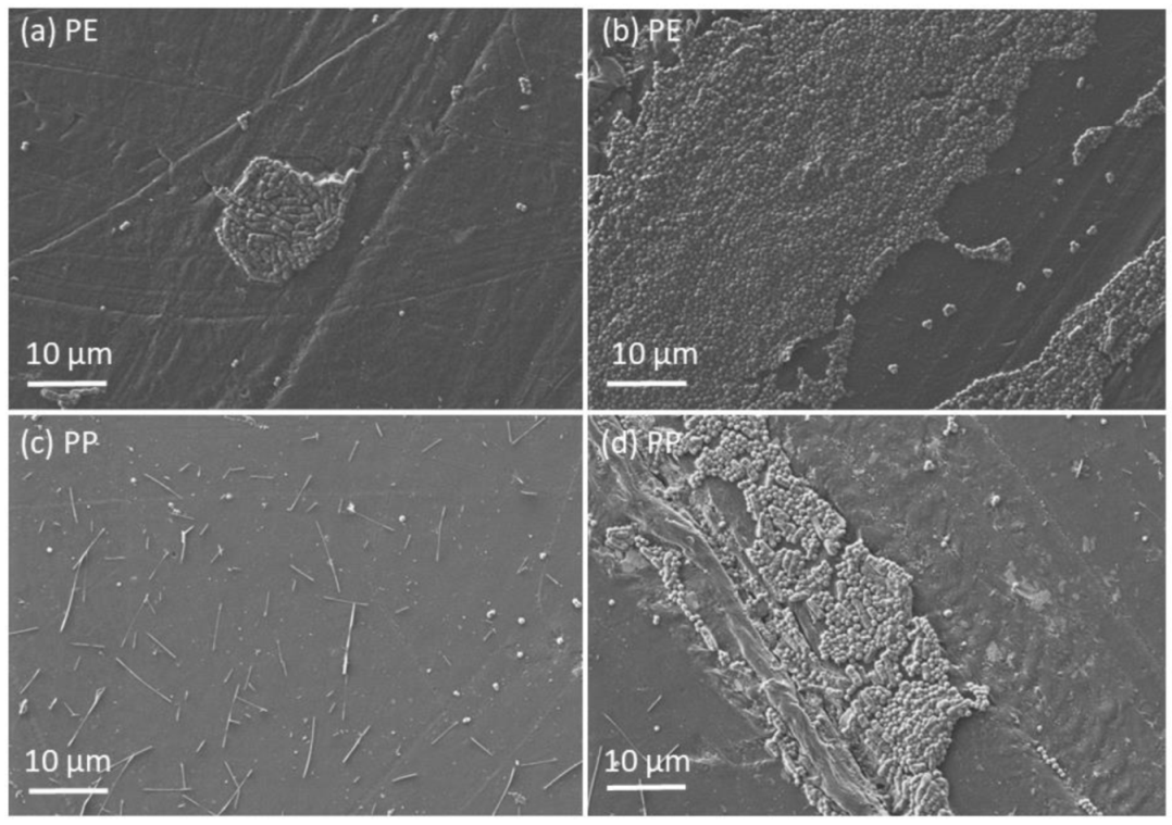Materials 14 06877 g005 Materials 14 06877 g005
