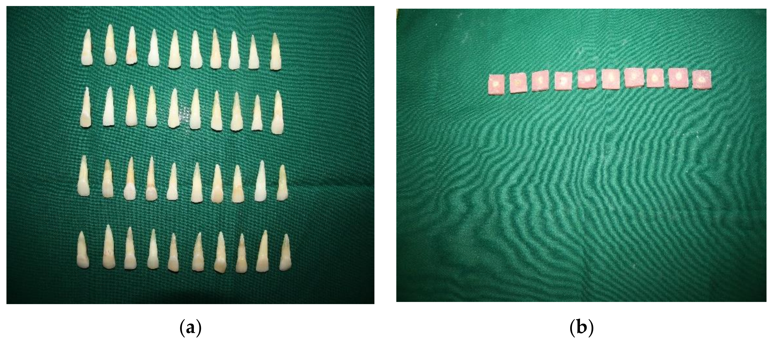 Materials 14 06908 g001