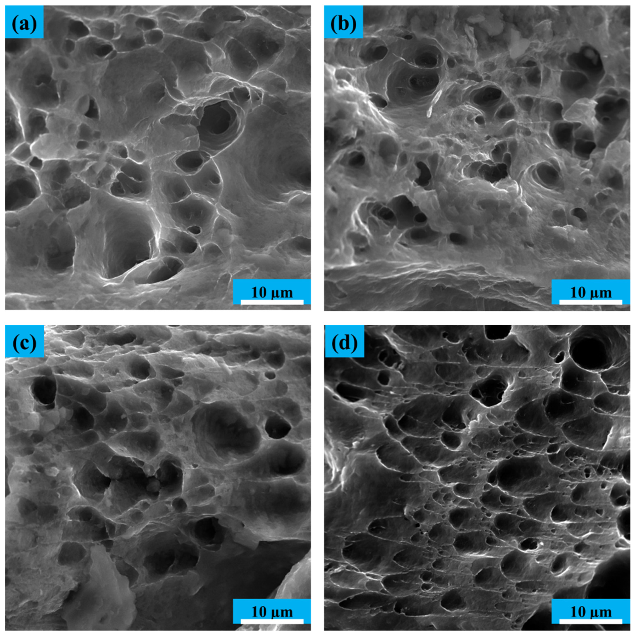 Materials 14 06910 g007