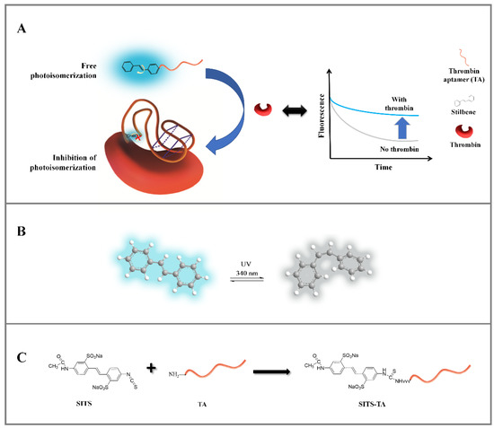 Materials 14 06927 g001
