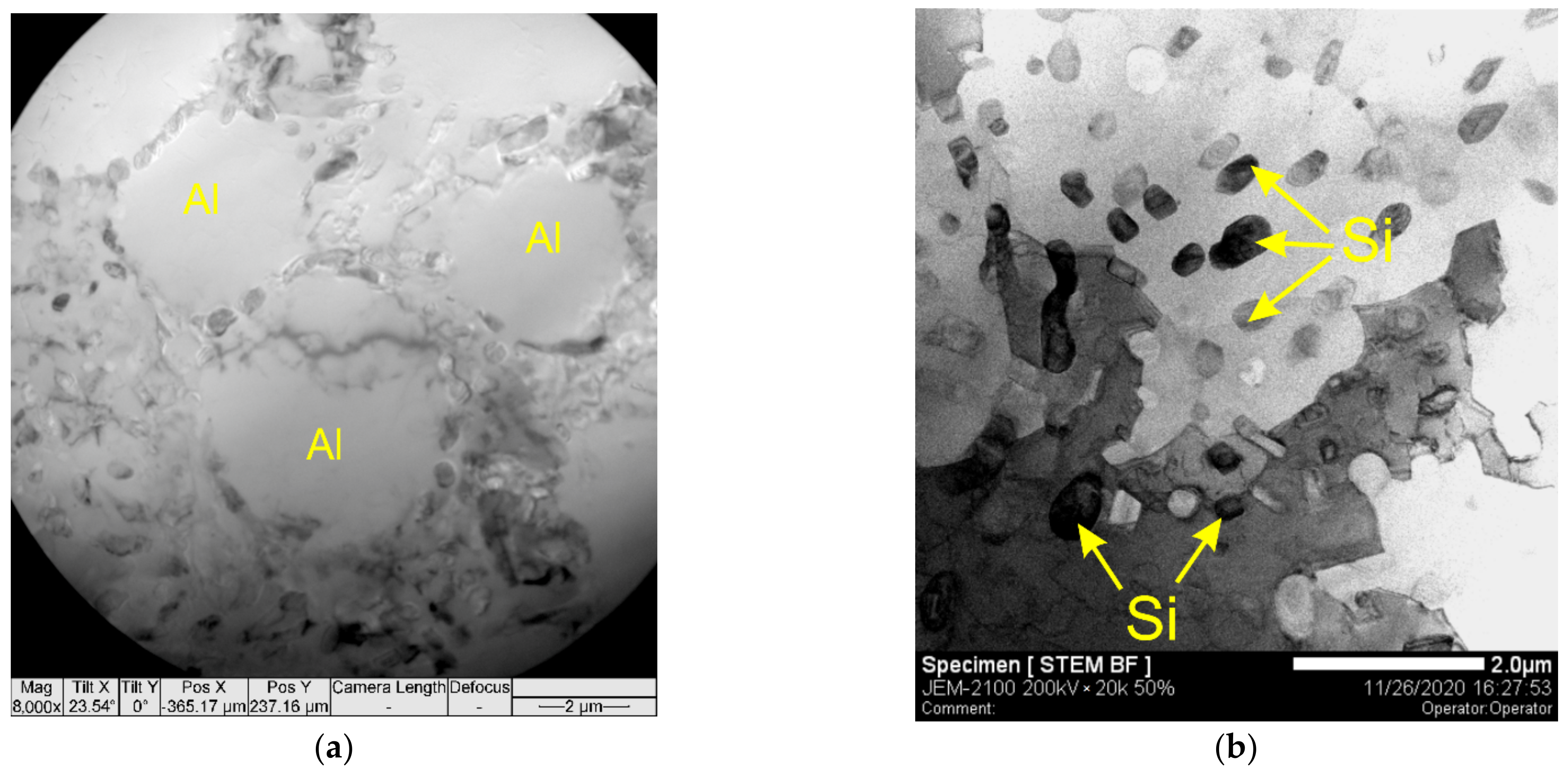 Materials 14 06931 g011a