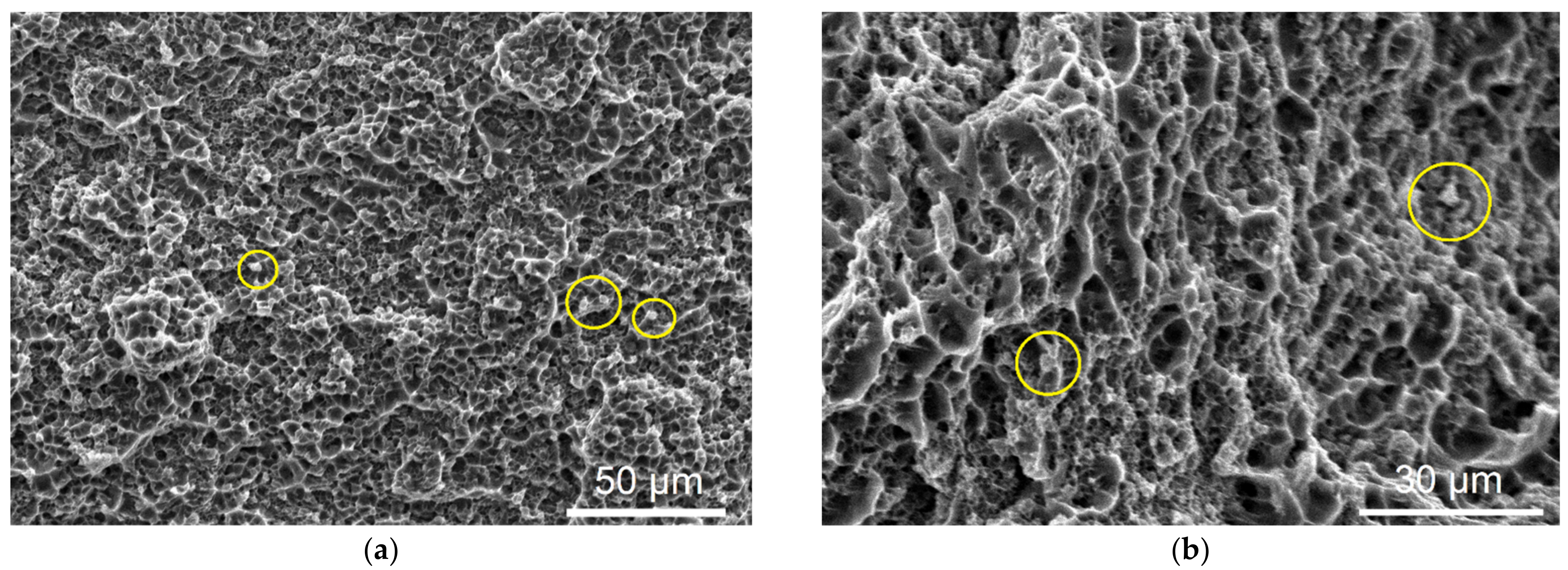 Materials 14 06931 g015