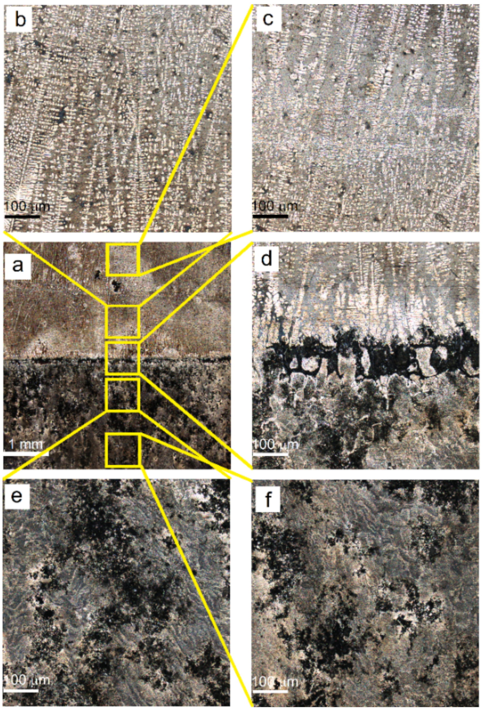 Materials 14 06931 g017