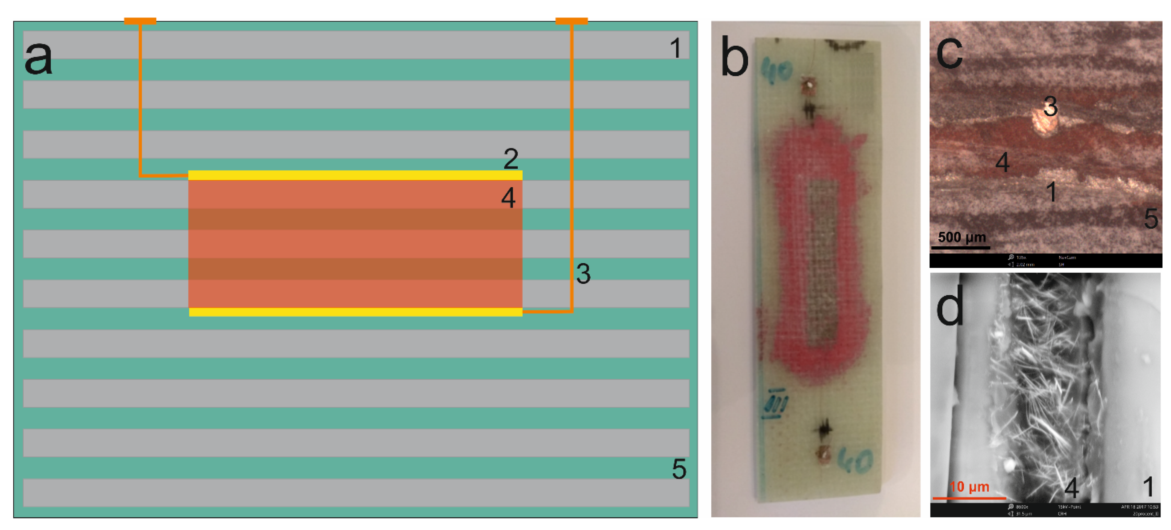 Materials 14 06973 g006