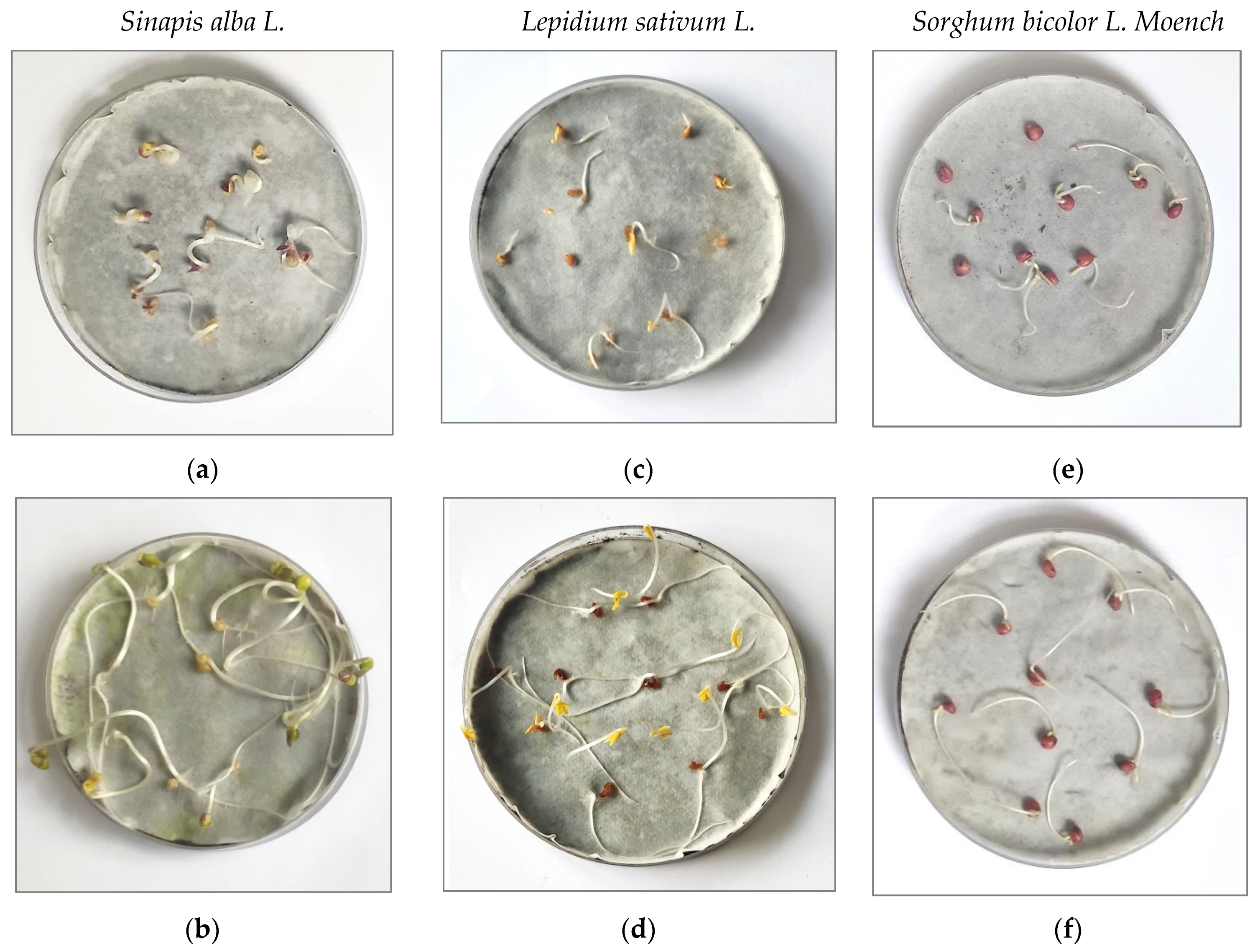 Materials 14 06979 g006