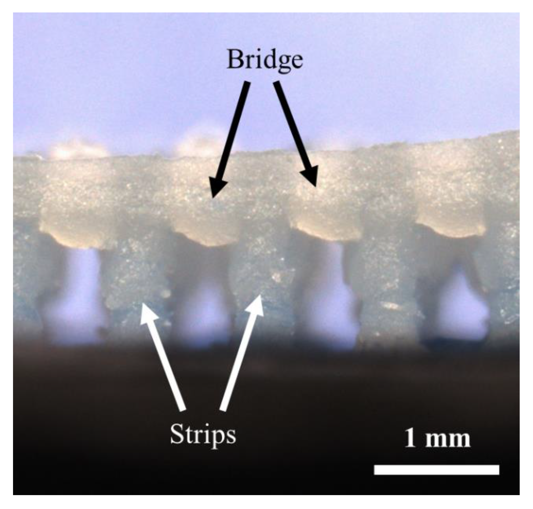 Materials 14 06988 g009