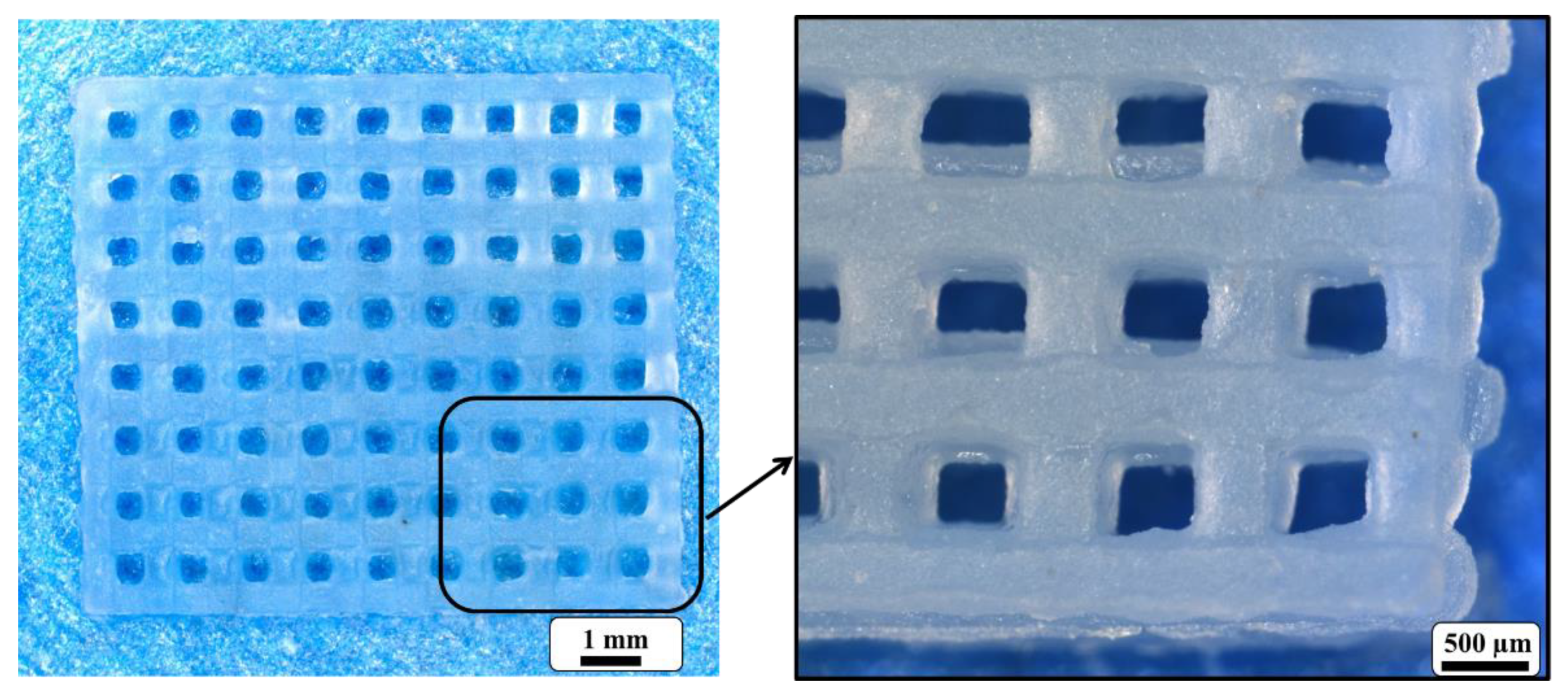 Materials 14 06988 g010