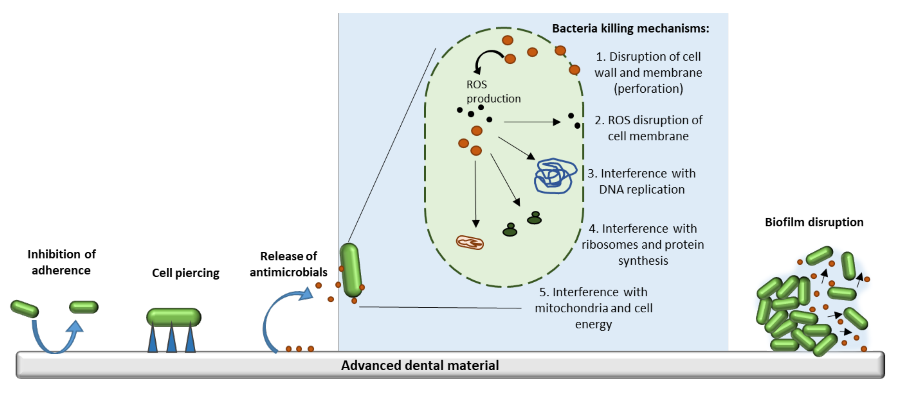 Materials 14 06994 g001 Materials 14 06994 g001