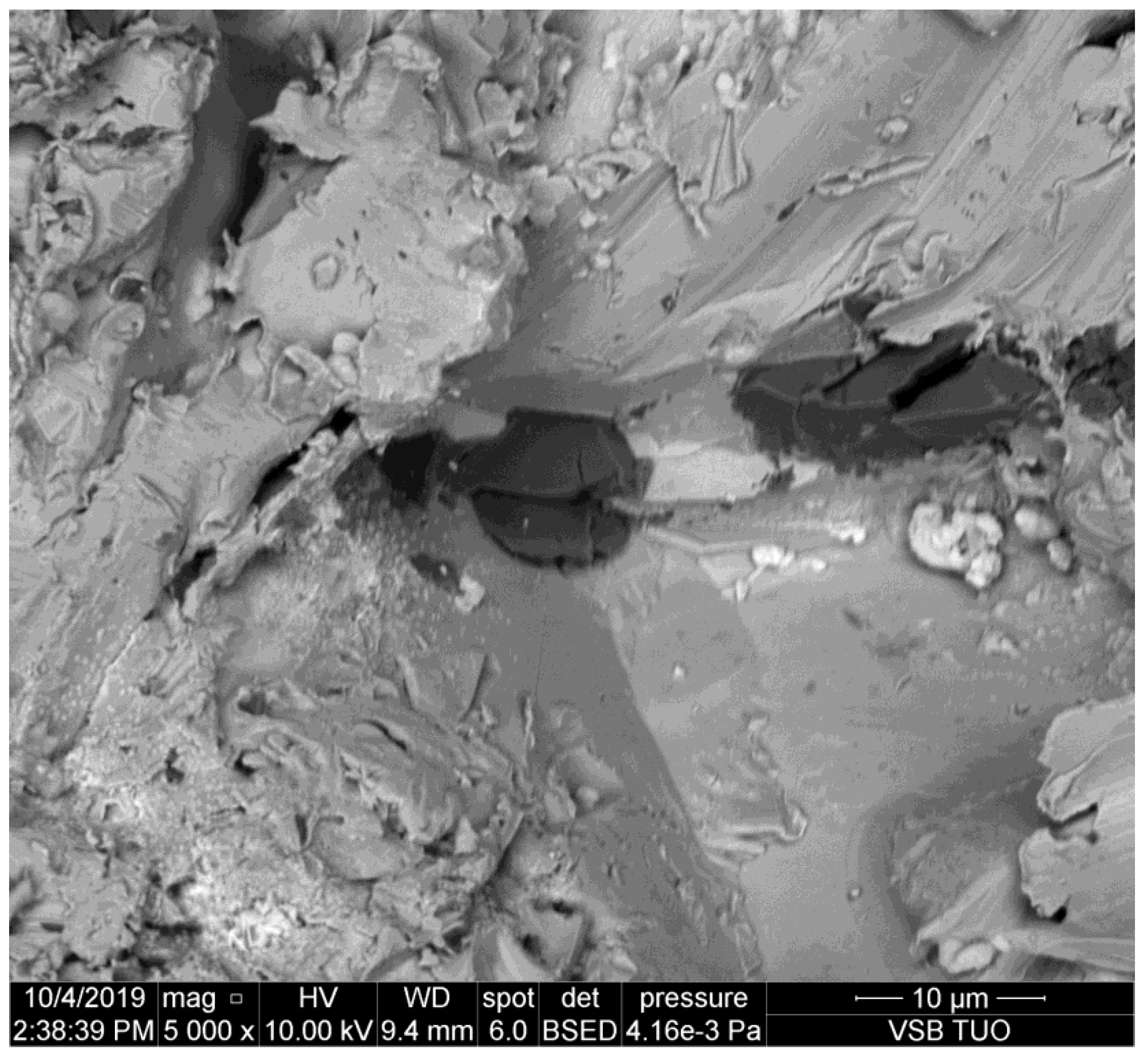 Materials 14 07032 g003