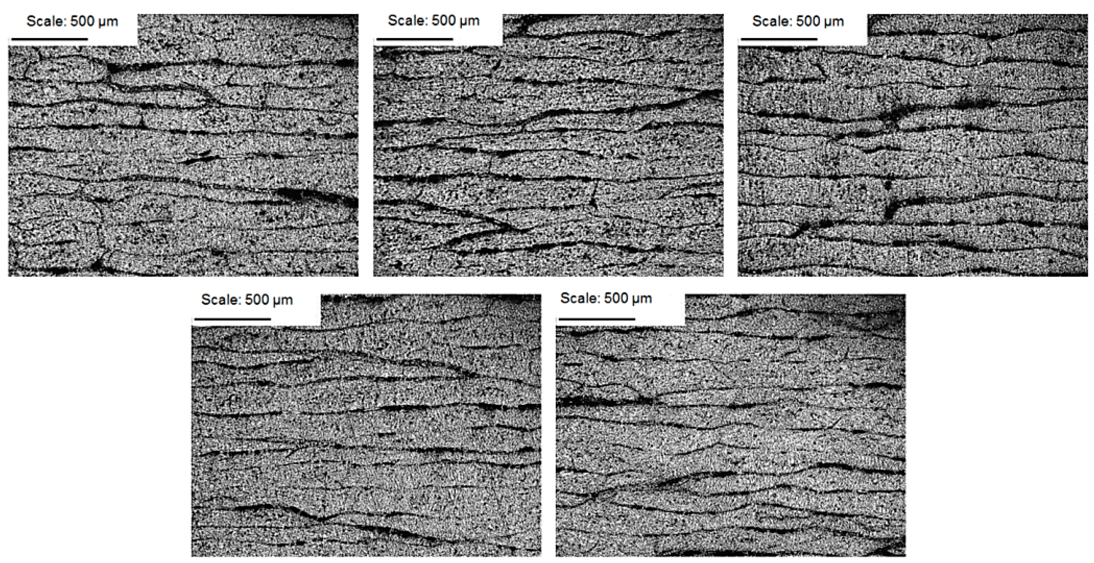 Materials 14 07037 g008