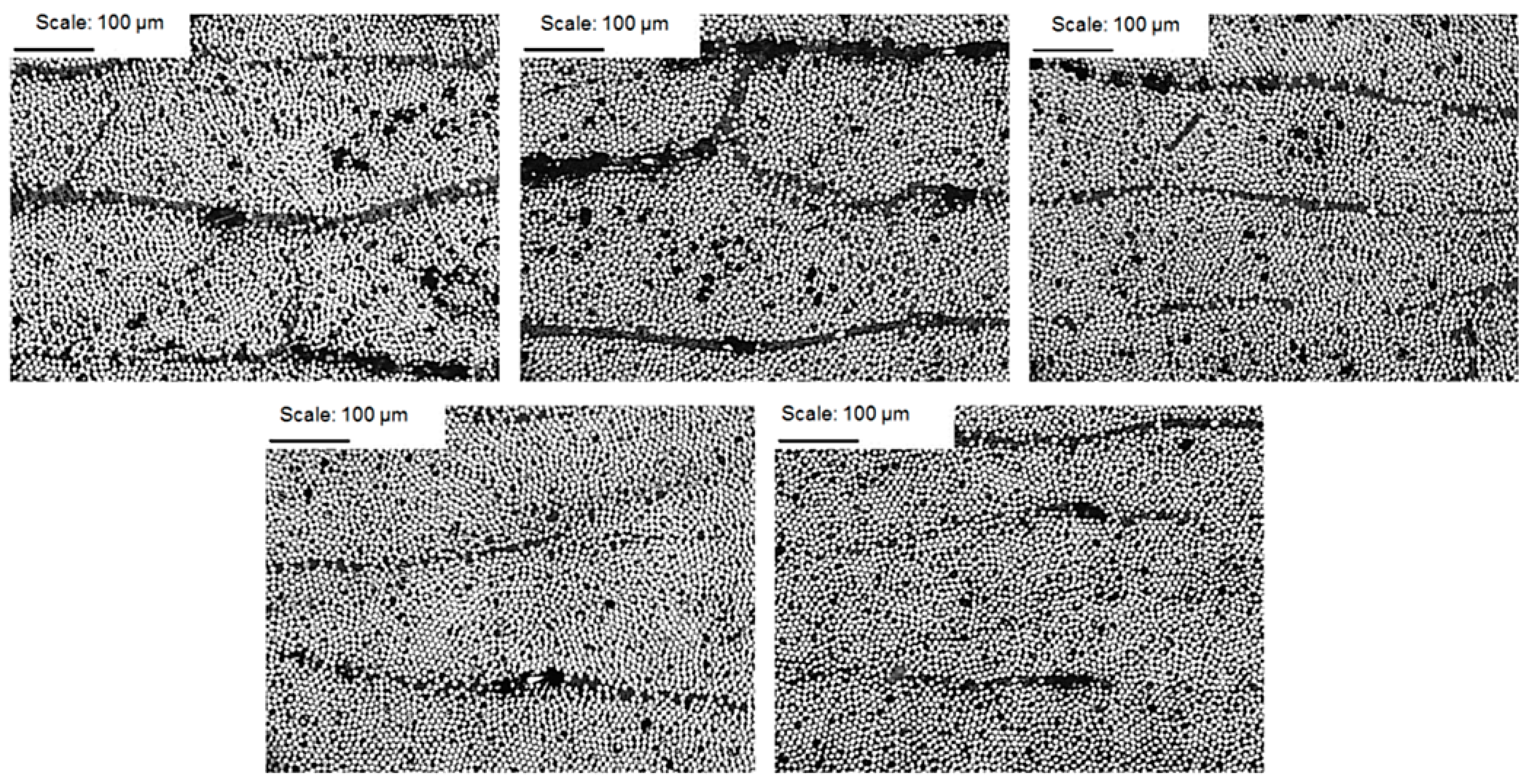 Materials 14 07037 g009